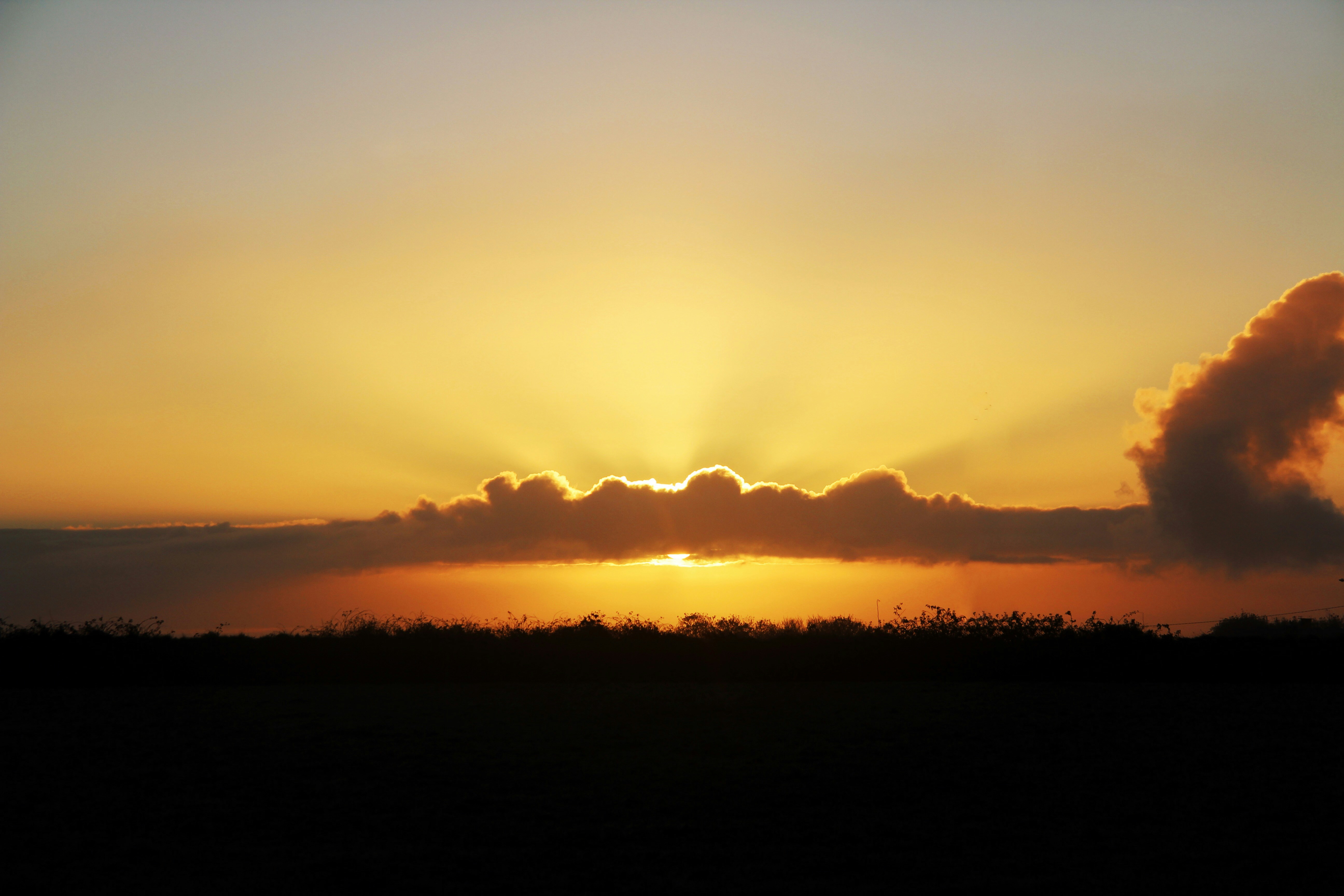 Free Unsplash photo from Tom Arrowsmith