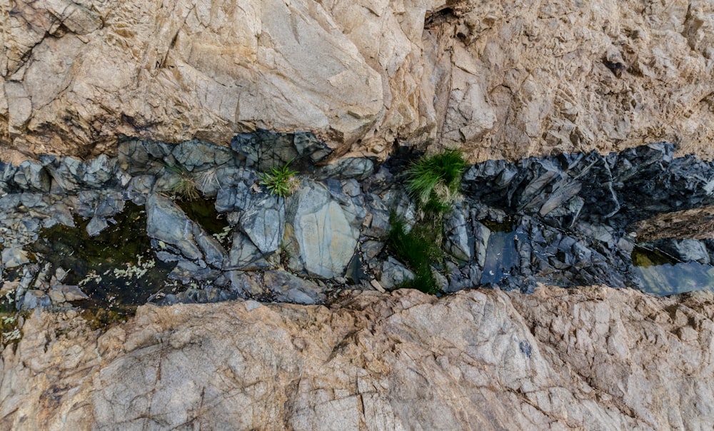 a close up of rocks with plants growing out of them