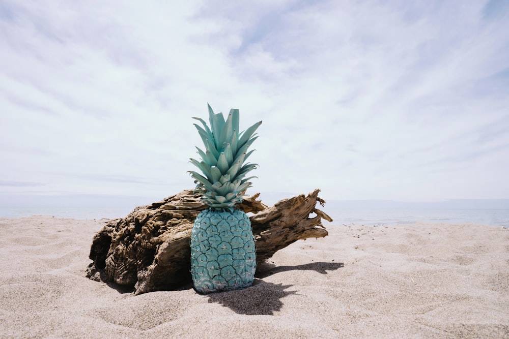 pineapple on sand