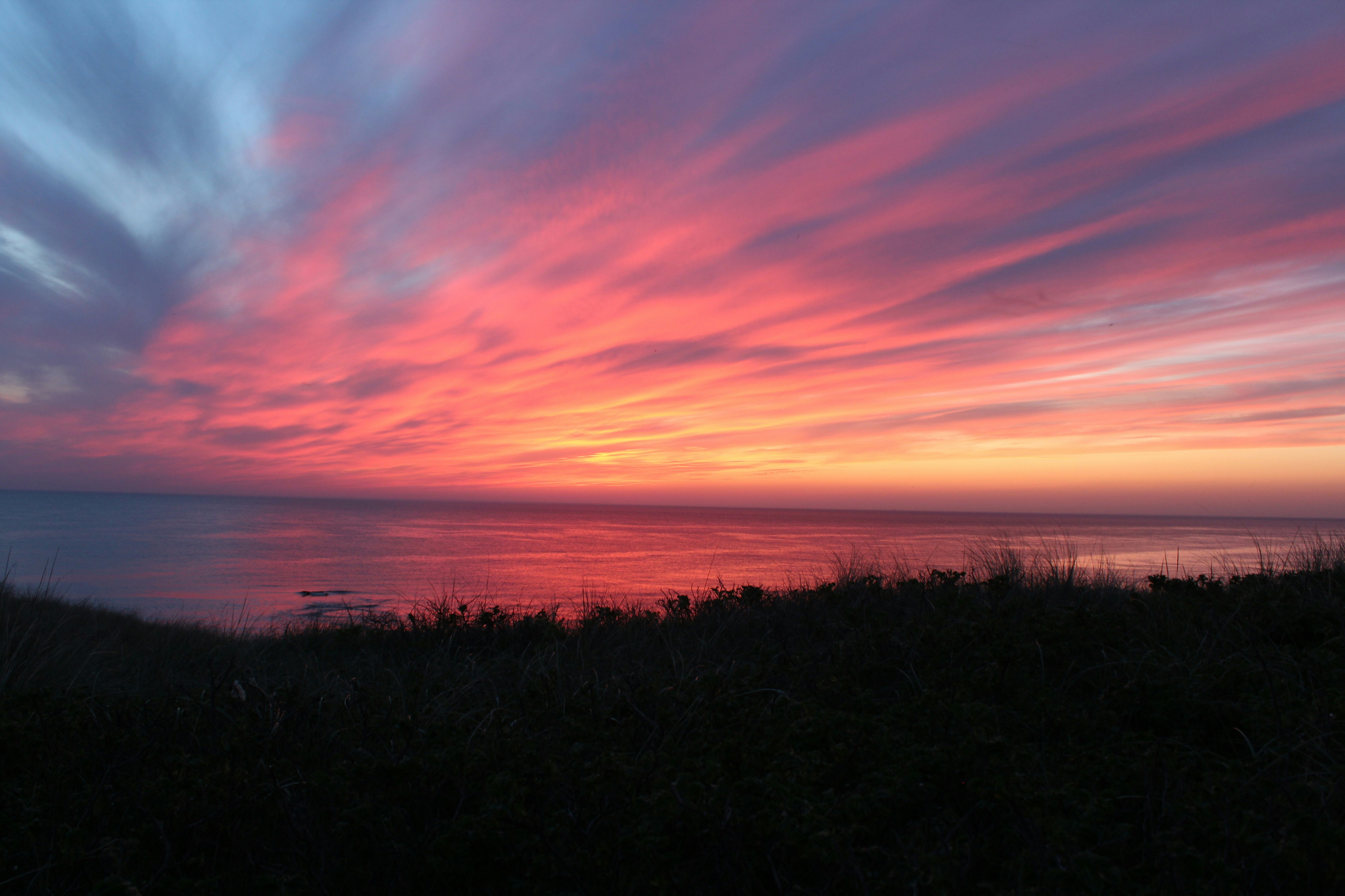 Free Unsplash photo from joris molenaar