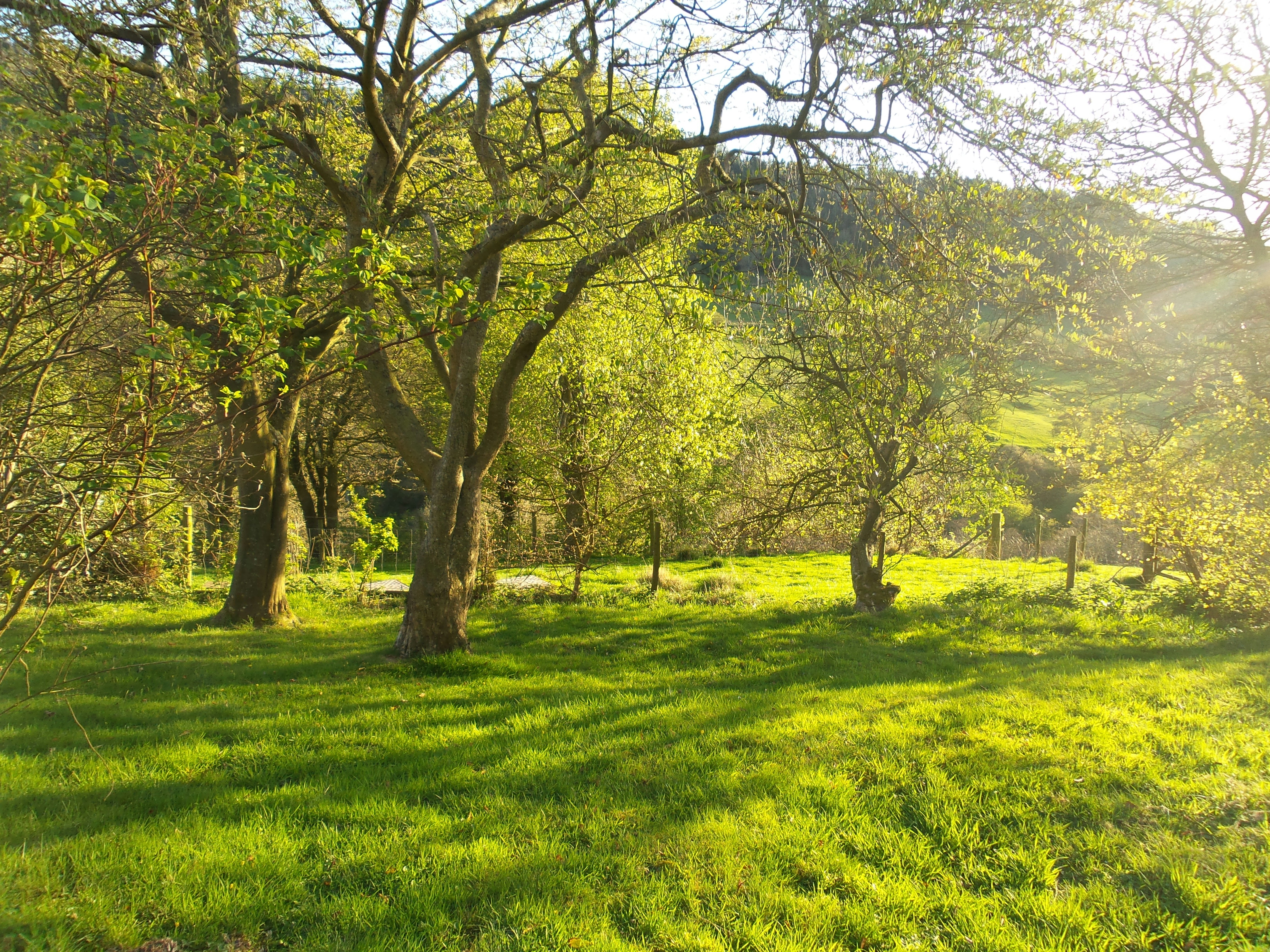 Free Unsplash photo from Marva Lord