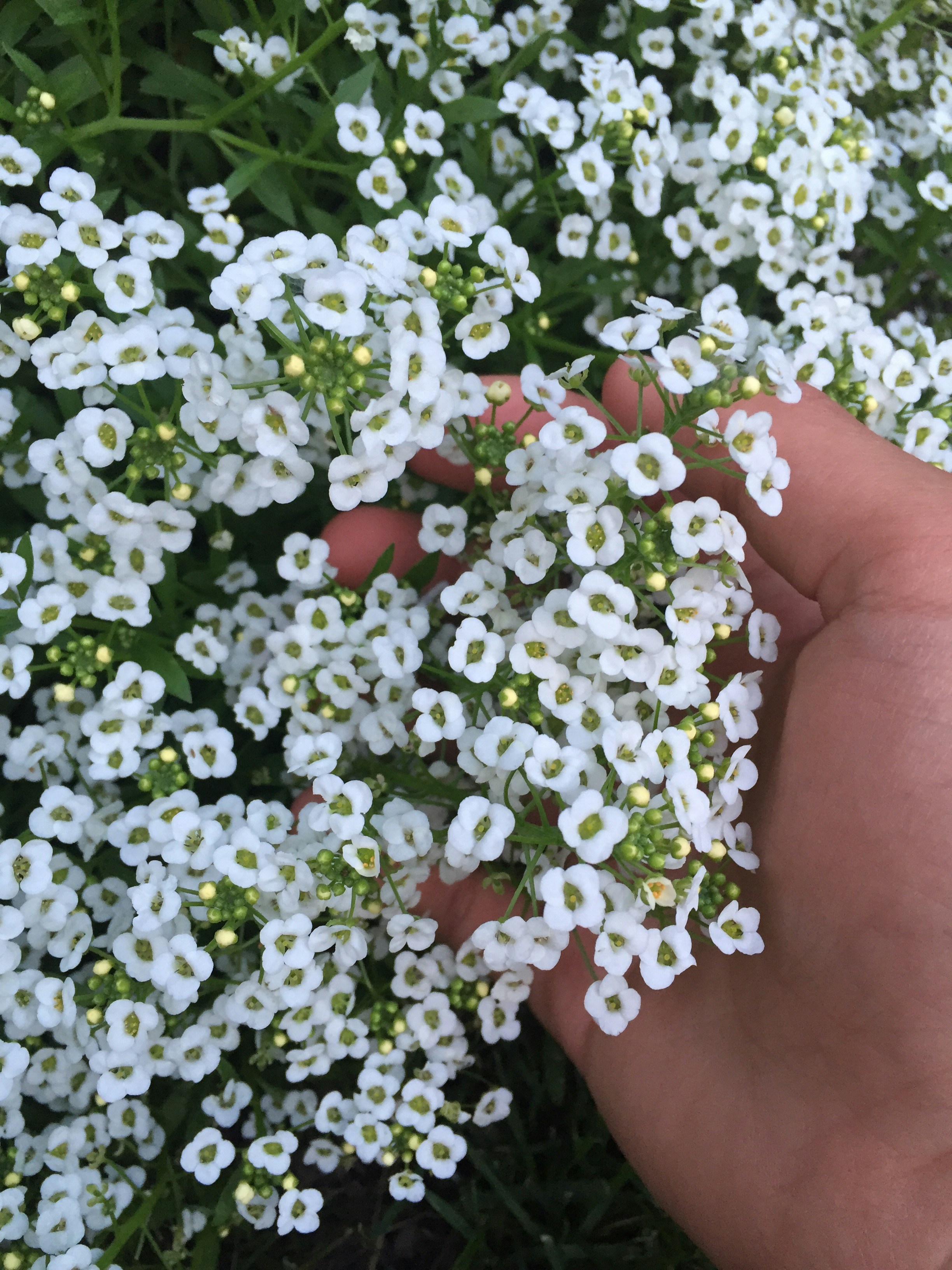 Free Unsplash photo from Jace Roy