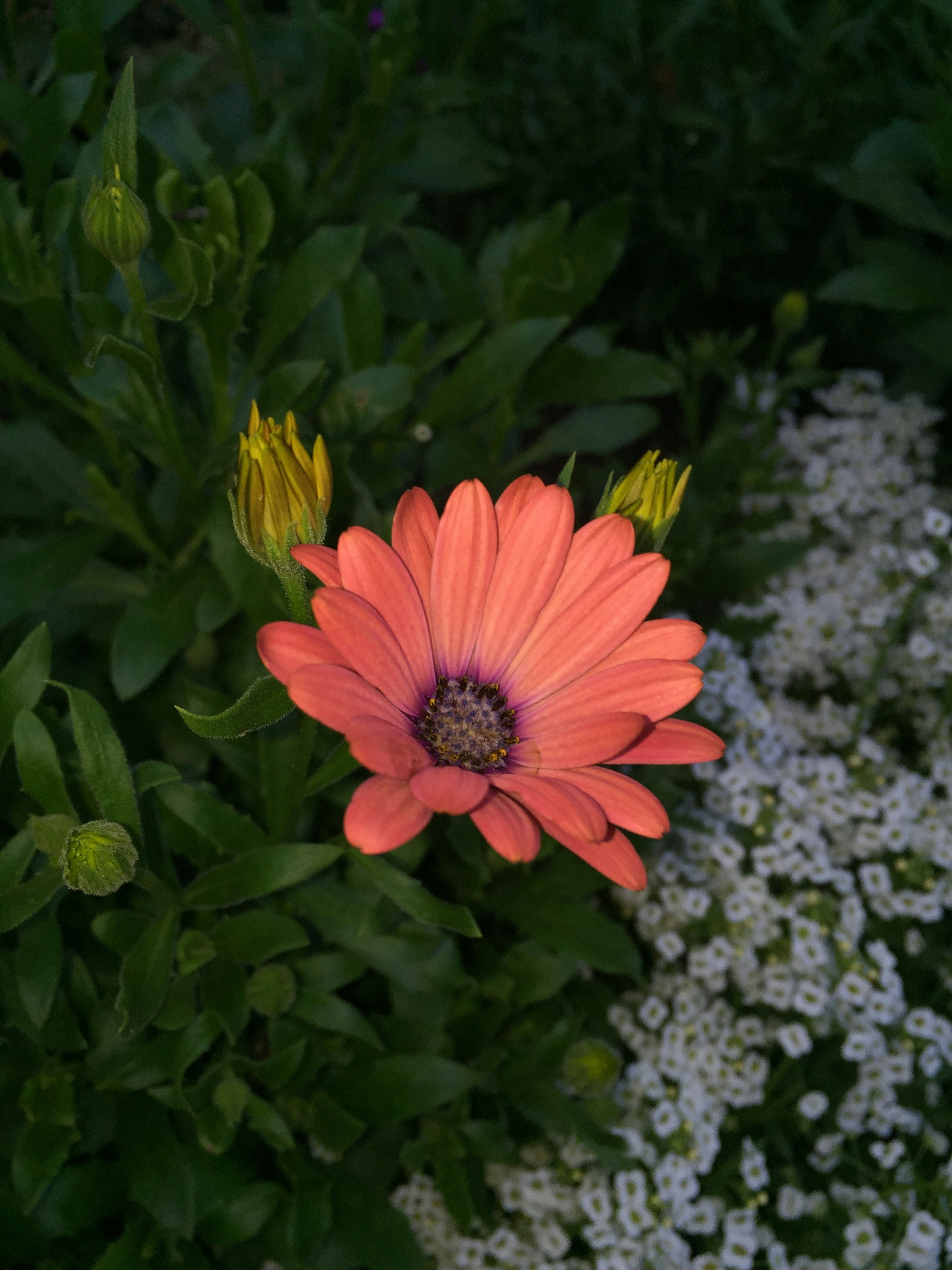 Free Unsplash photo from Jace Roy