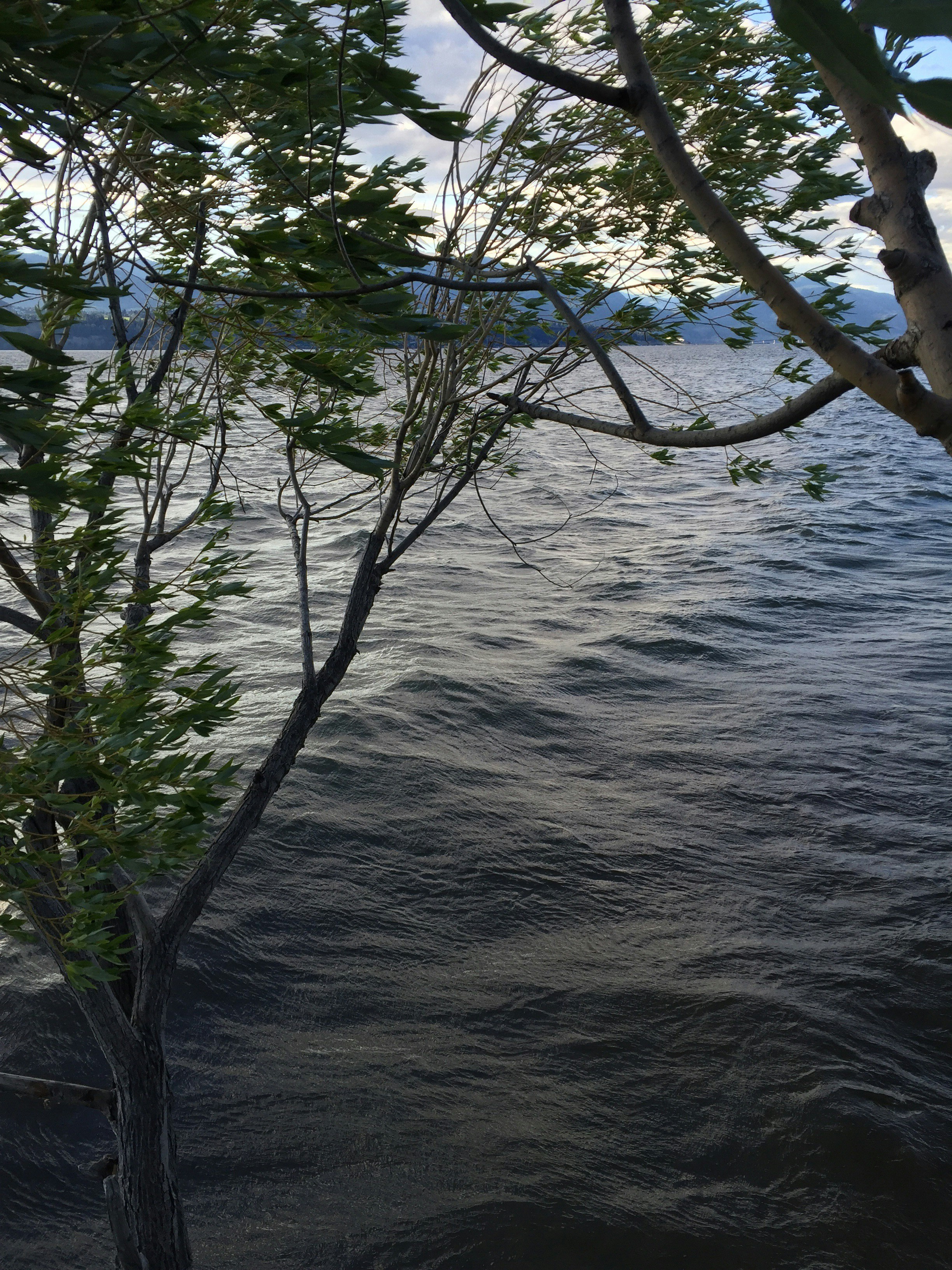 Free Unsplash photo from Jace Roy