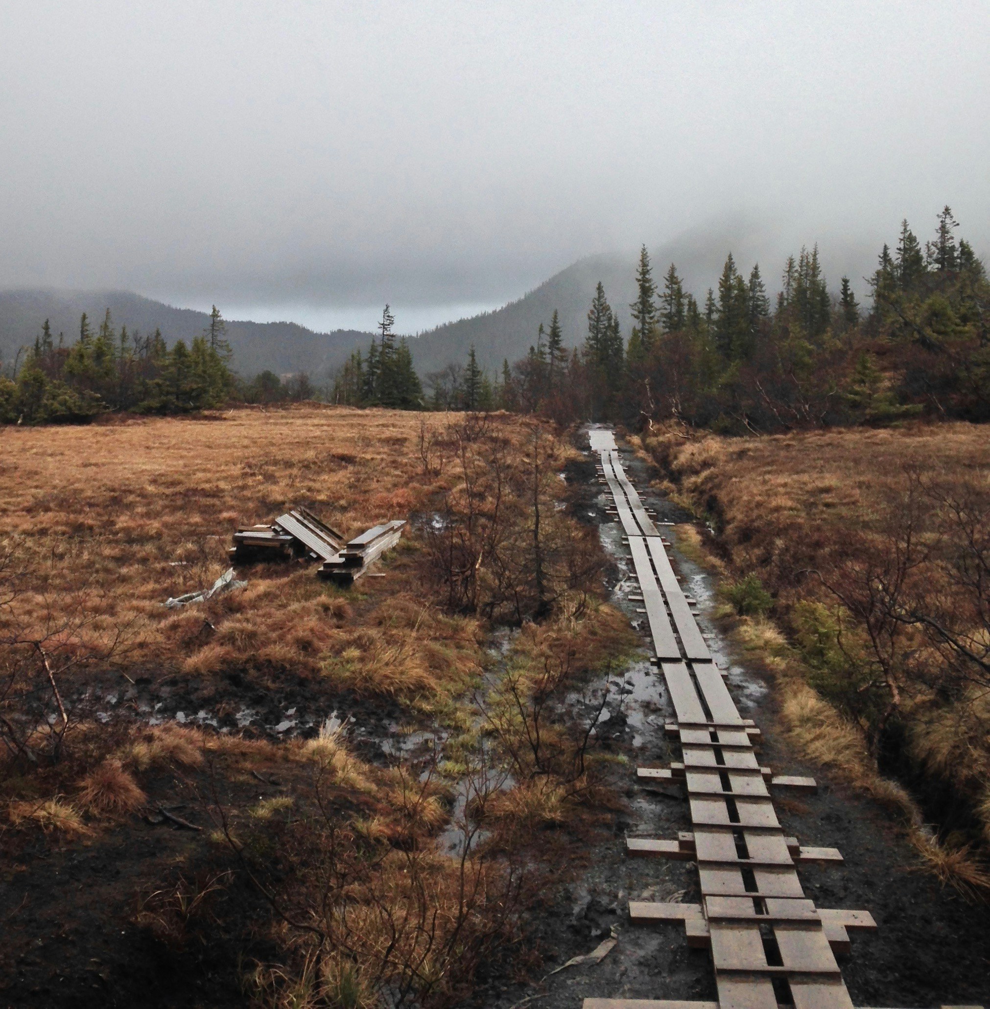 Free Unsplash photo from Patrick Buffington