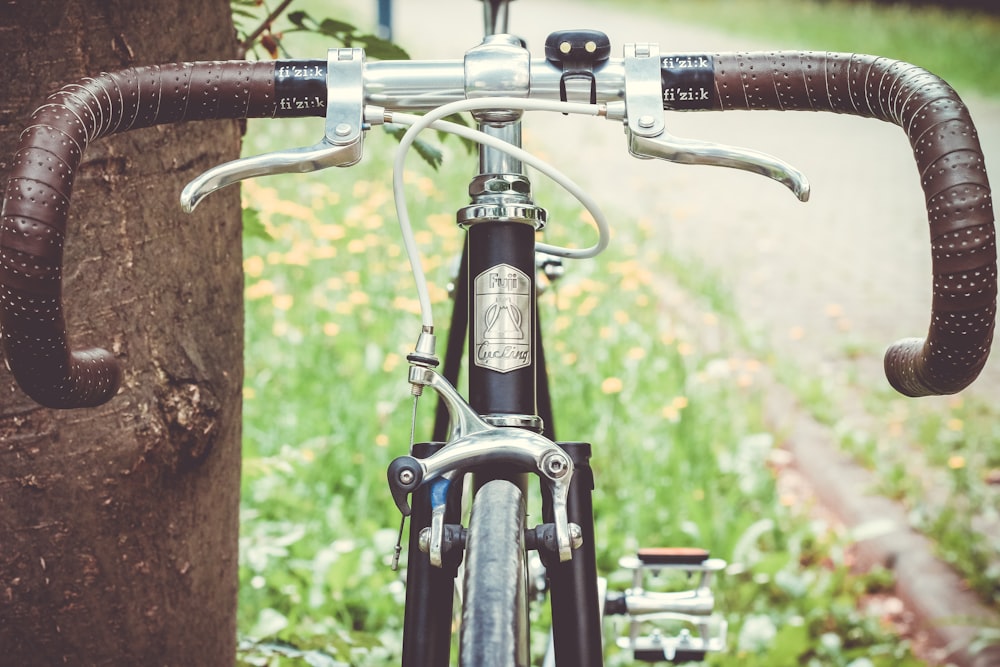 black and brown road bike leaning on tree