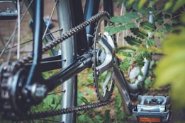 A close-up view of a bicycle's rear gear mechanism and chain. The image focuses on the metallic gear, chain, and pedal, with green leaves in the foreground and background. The bicycle parts are well-maintained, and the image has a serene outdoor feel.