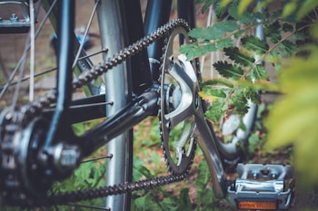 A close-up view of a bicycle's rear gear mechanism and chain. The image focuses on the metallic gear, chain, and pedal, with green leaves in the foreground and background. The bicycle parts are well-maintained, and the image has a serene outdoor feel.
