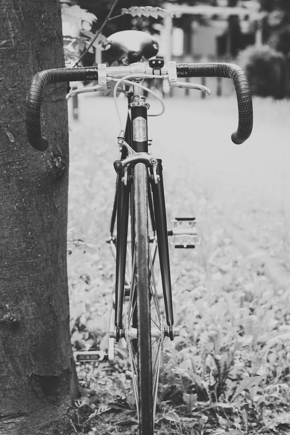 a black and white photo of a bicycle parked next to a tree