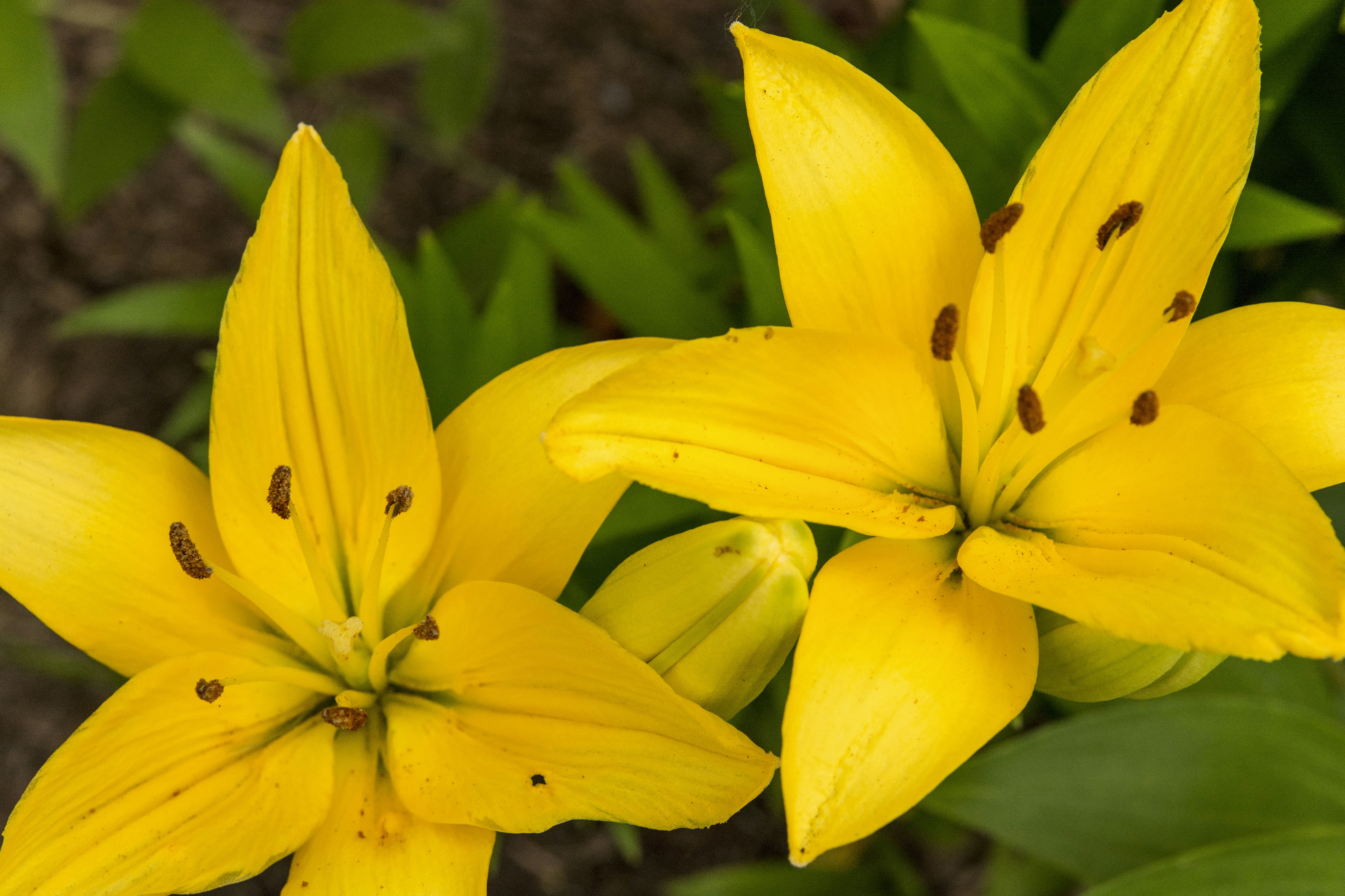 Free Unsplash photo from Rodrigo Rodriguez