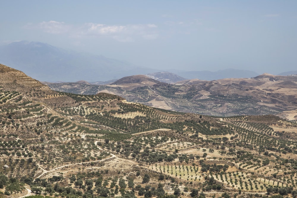 aerial view of green trees and mountains during daytime