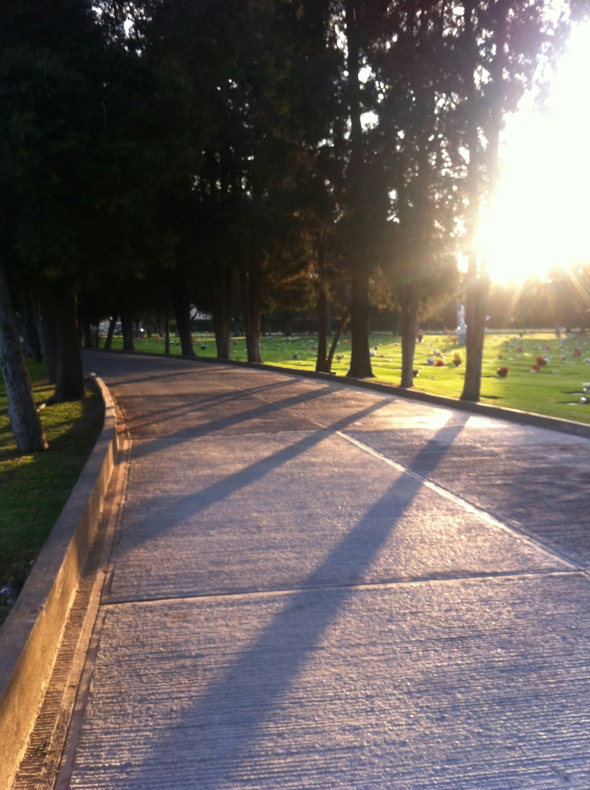 Free Unsplash photo from Esteff Huitrón