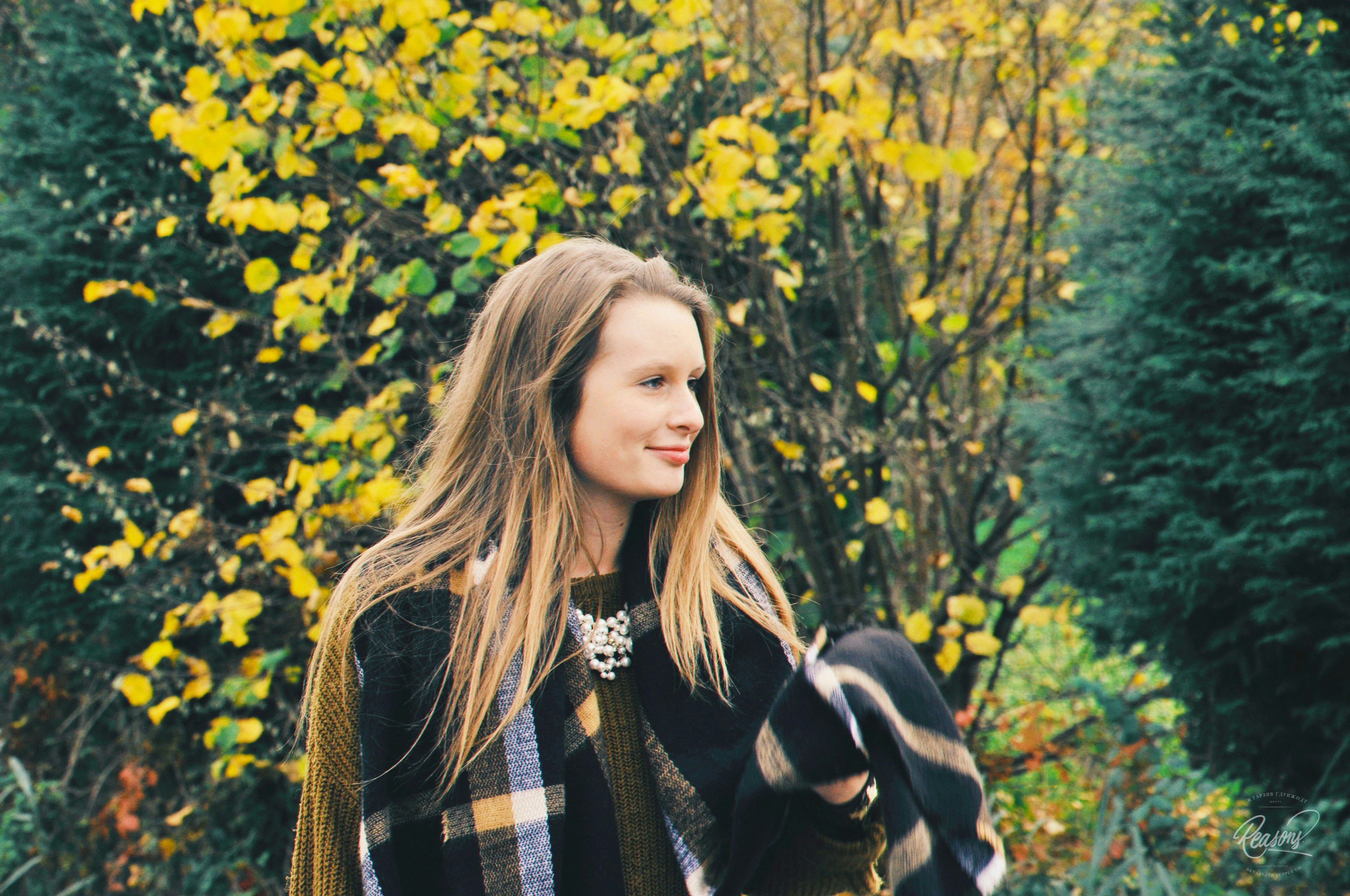 Free Unsplash photo from REASONS ART