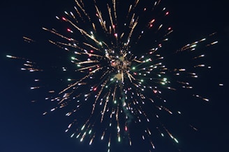 Bright fireworks burst in the night sky, creating a spectacular display of light with multicolored sparks radiating outward. The explosion creates a sense of celebration and festivity.