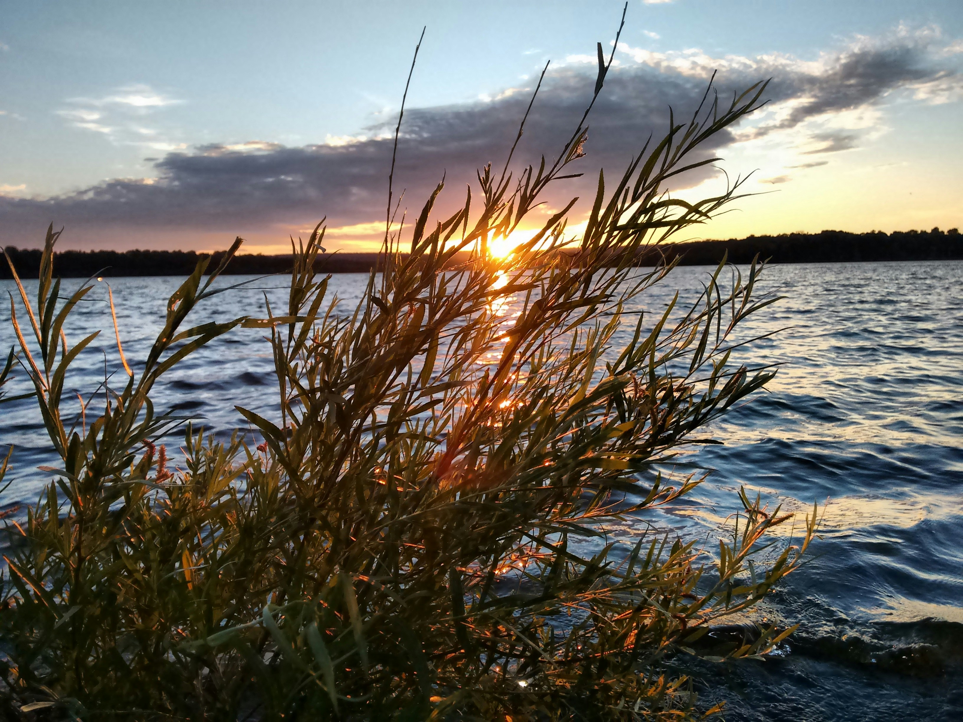 Free Unsplash photo from Himal Shah