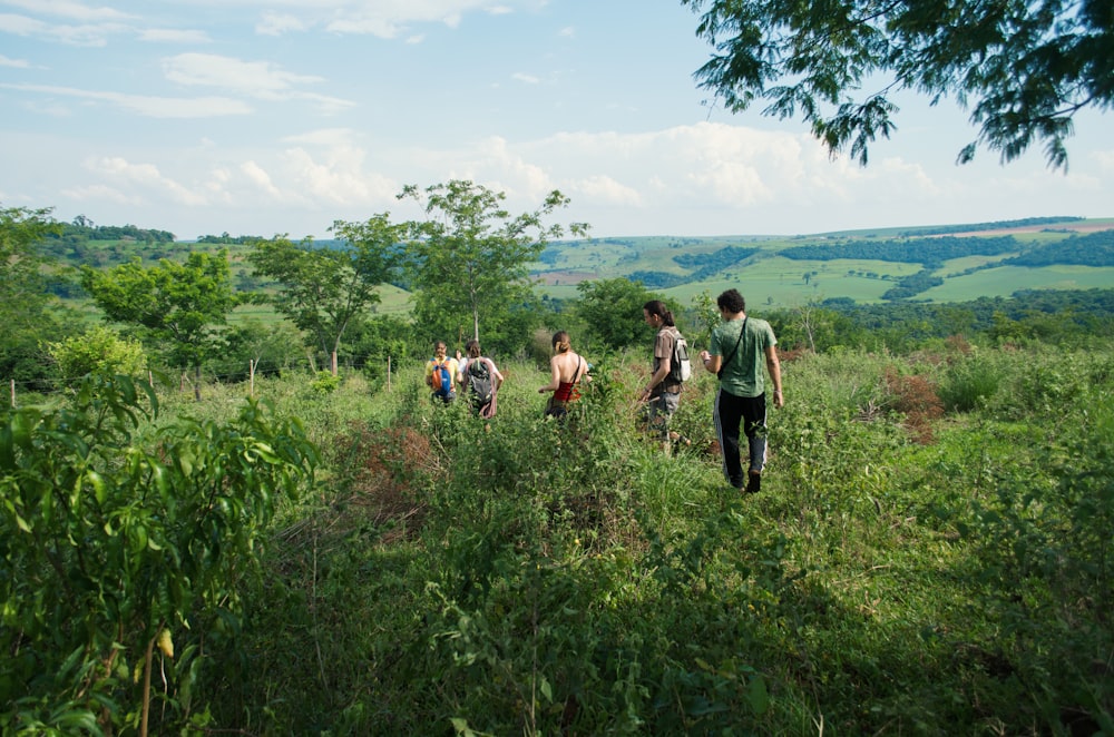 people hiking on hills