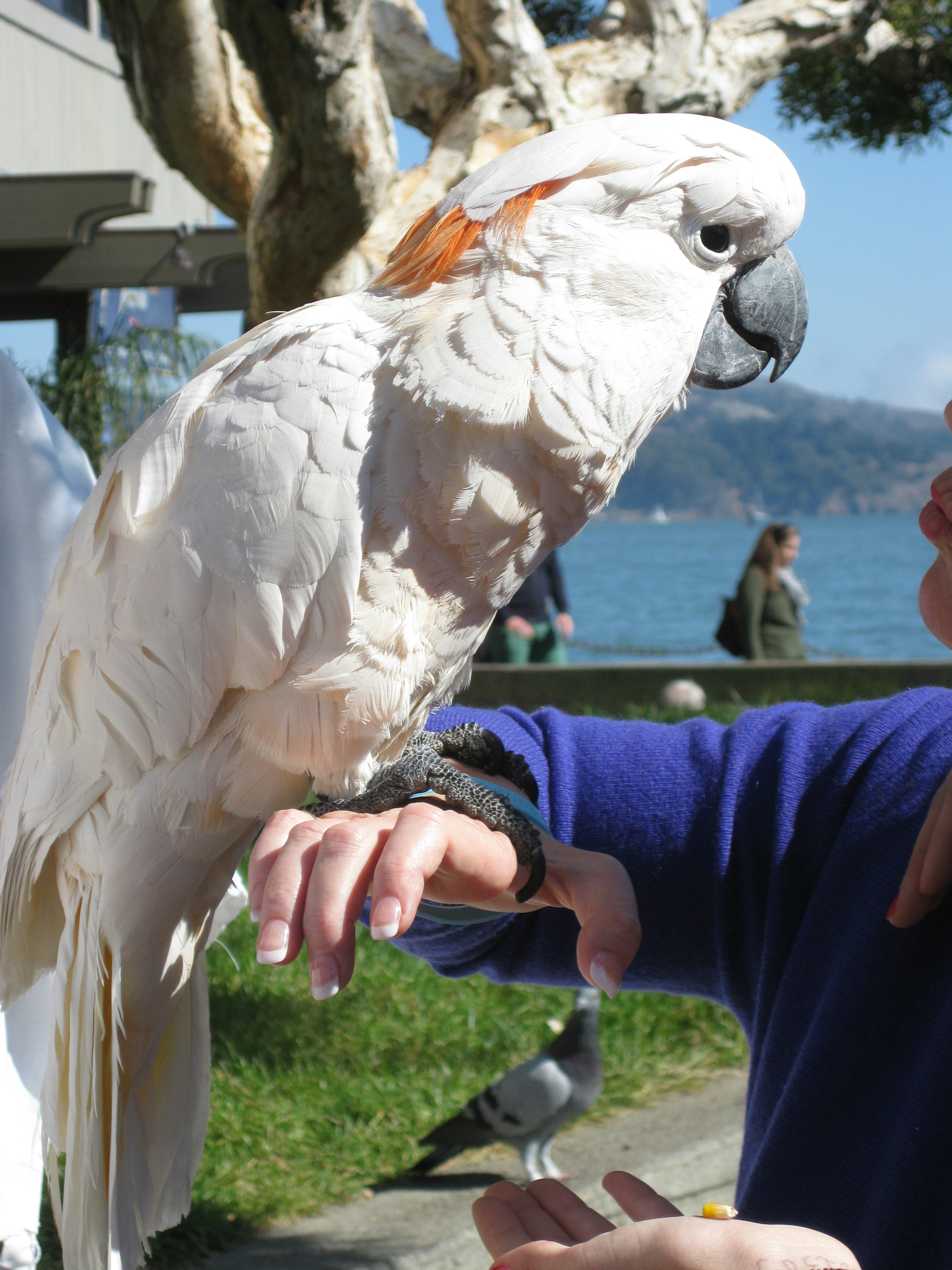 Free Unsplash photo from Elena Cordery