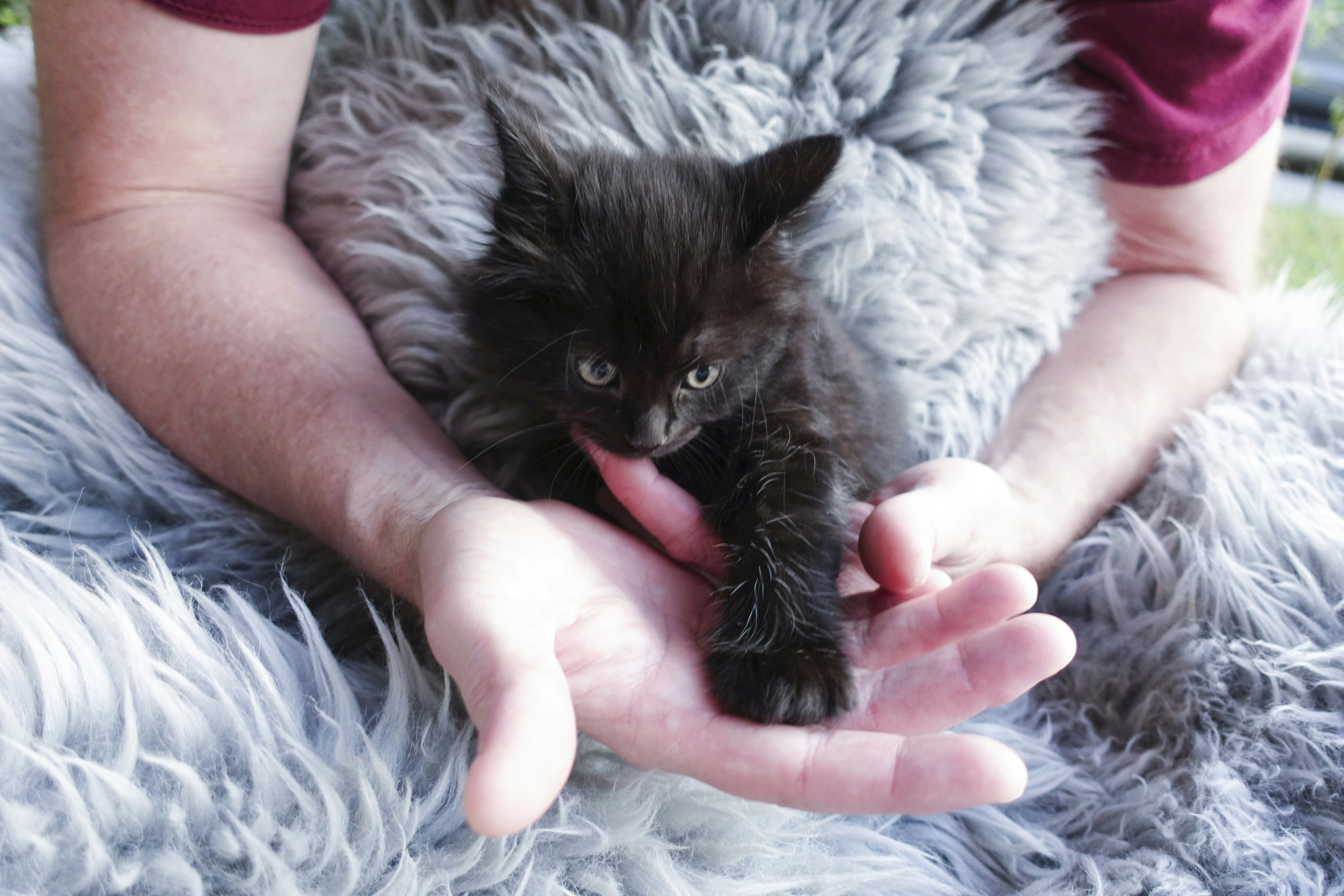 Free Unsplash photo from Elena Cordery