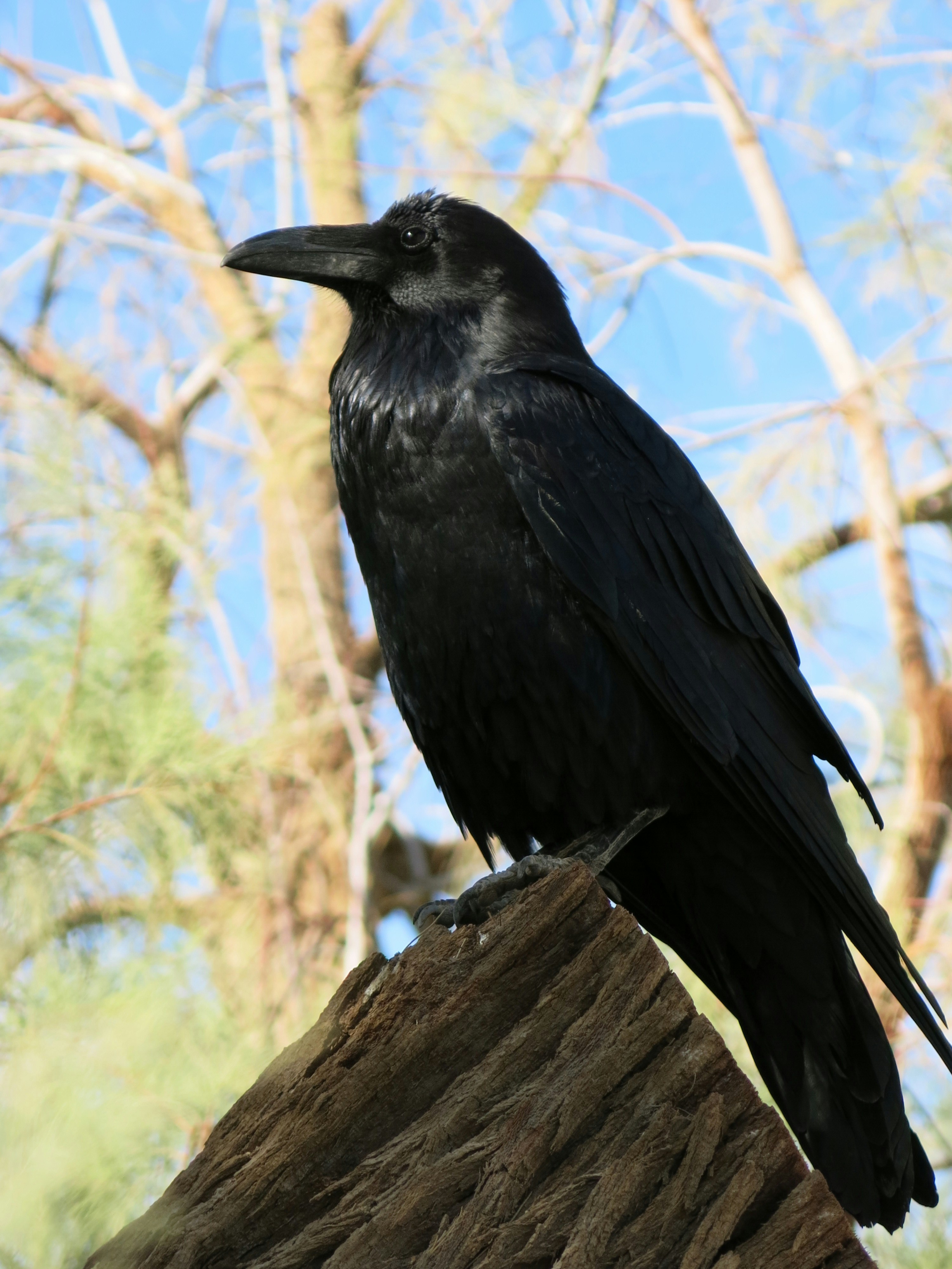 Free Unsplash photo from Elena Cordery