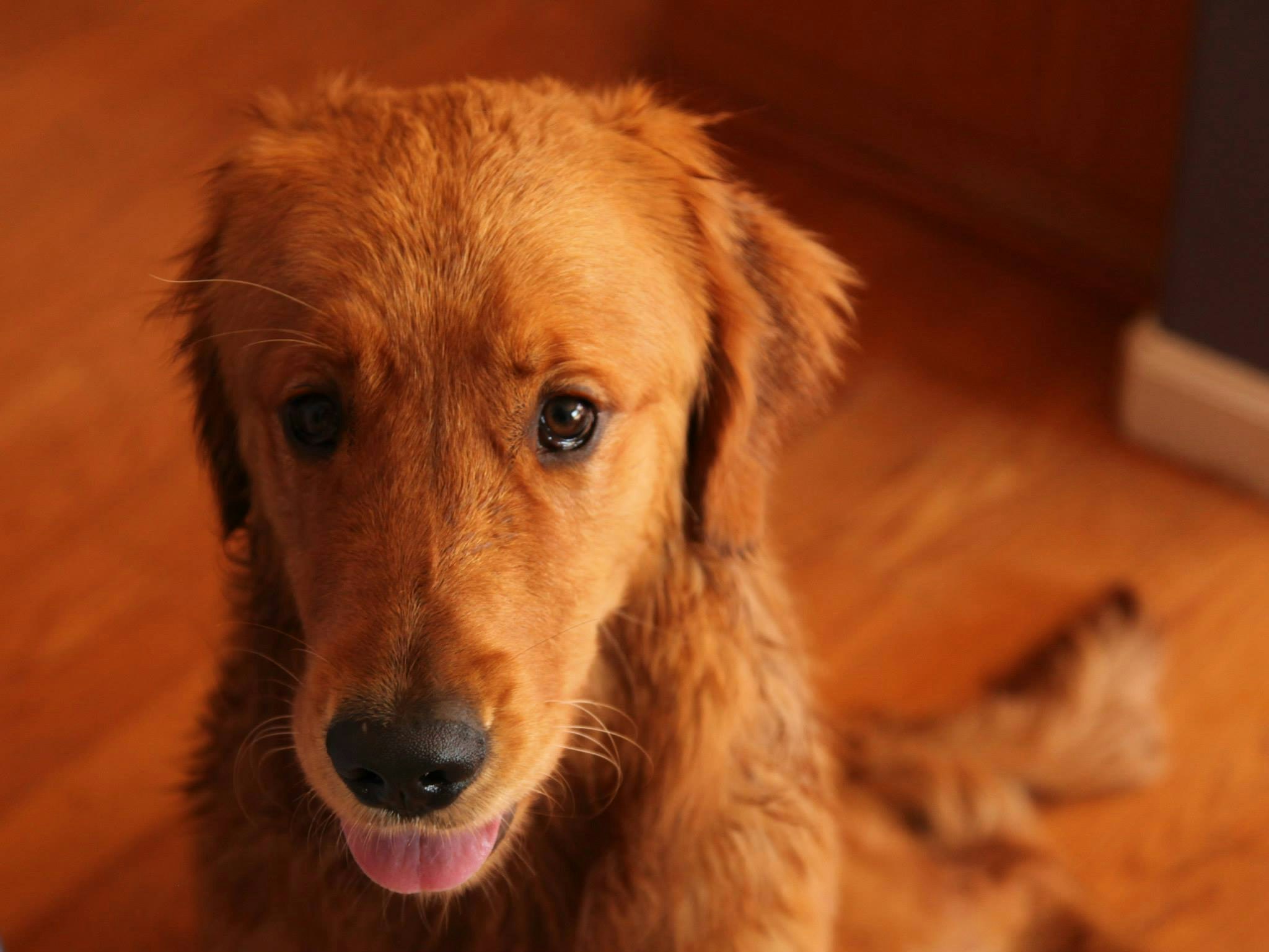 Free Unsplash photo from Elena Cordery