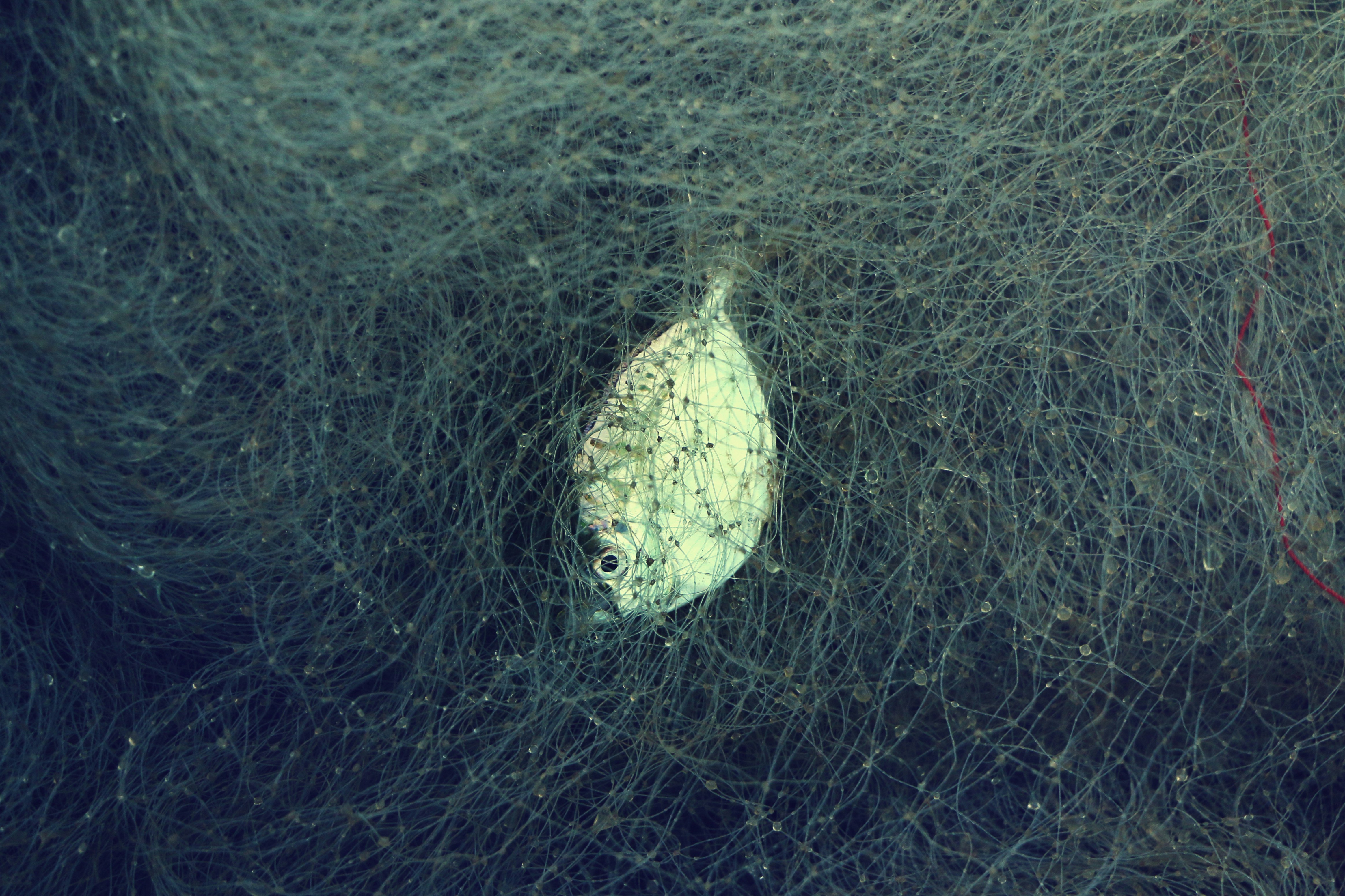 4 Mistakes That Are Getting You Stuck Learning JavaScript