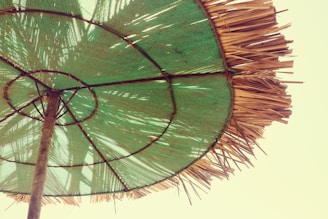 A view from beneath a large circular umbrella with a wooden frame and a green canopy. The edges of the umbrella are lined with straw, creating a fringe effect. Sunlight filters through the fabric, casting shadows and creating a dappled pattern.