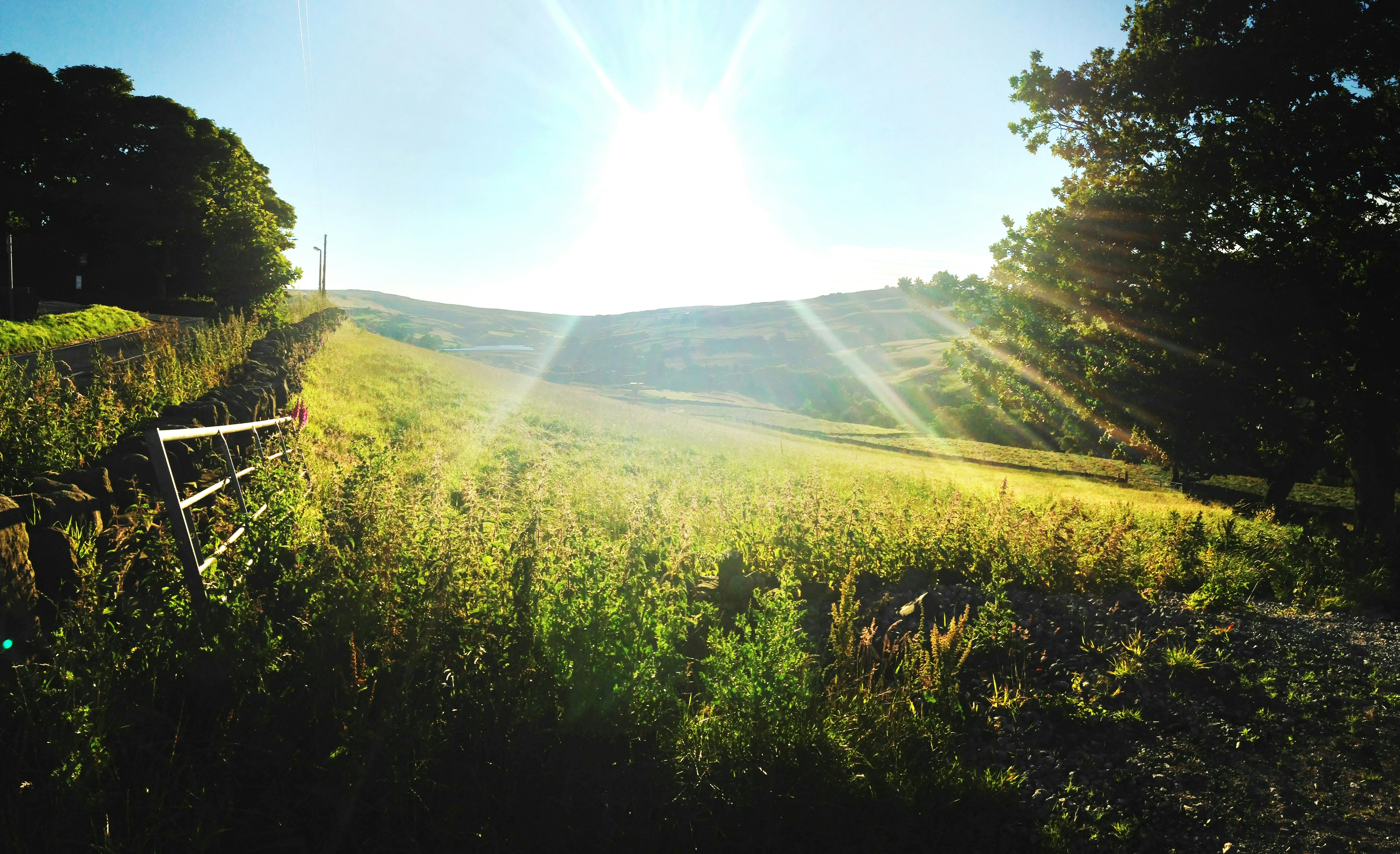 Free Unsplash photo from Rachel Penney