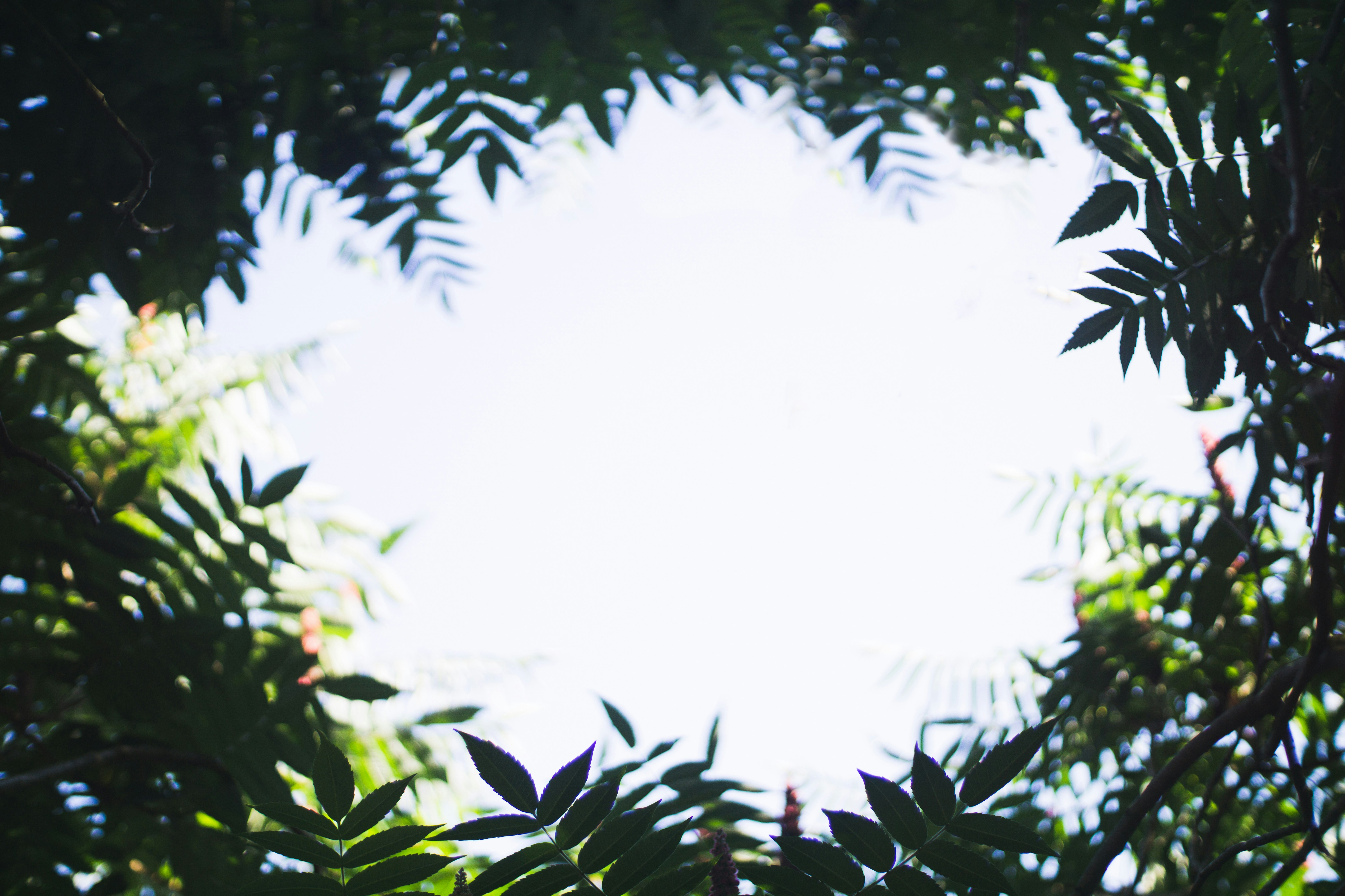 Free Unsplash photo from Dominik Lange