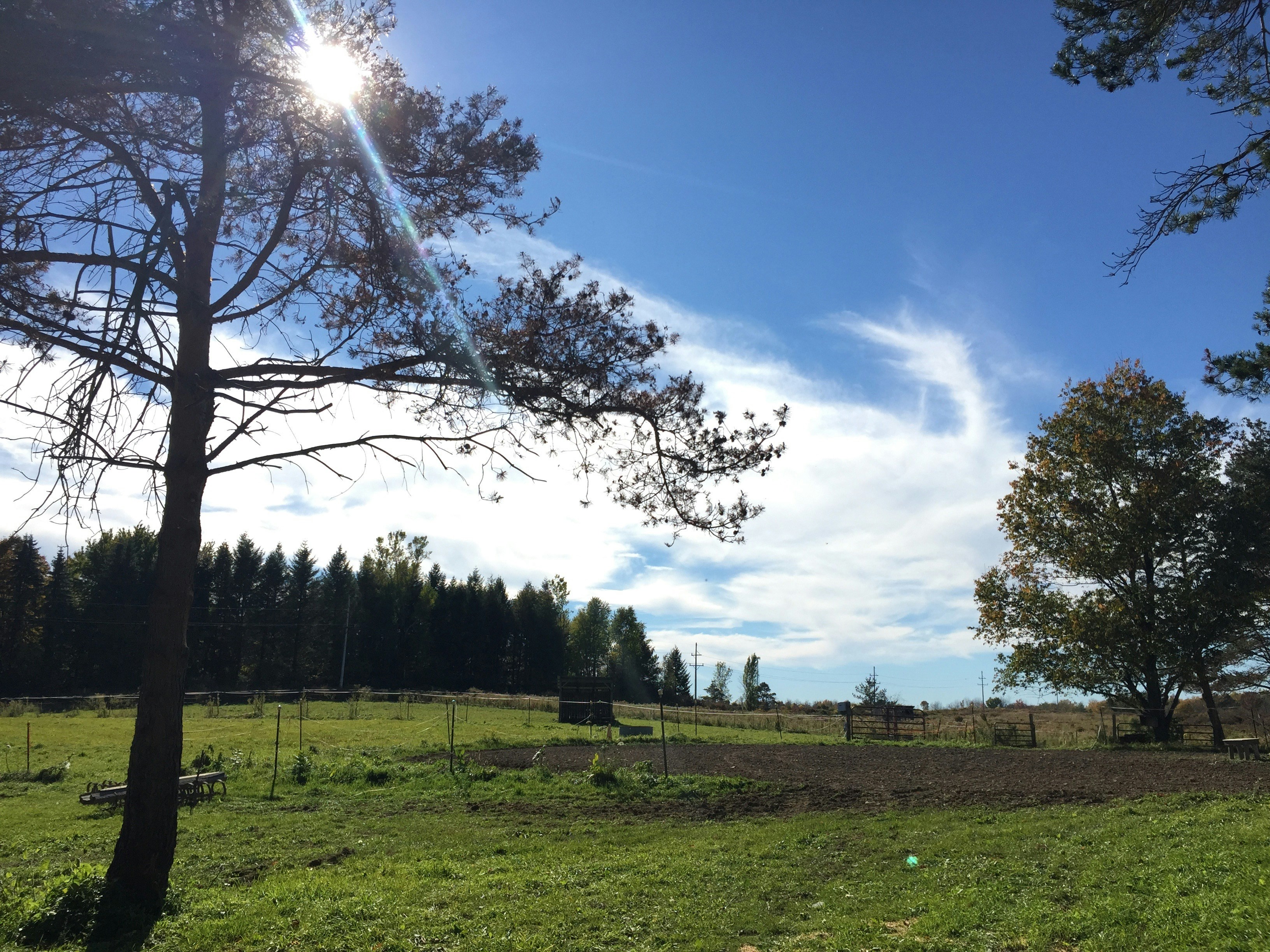 Free Unsplash photo from Tracy Highway