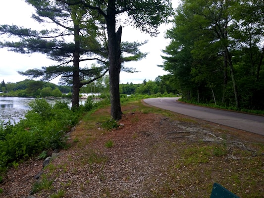 A tranquil road scene showcasing eco tires in a natural setting.
