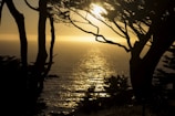 A golden-framed view of California's coastline at sunset.