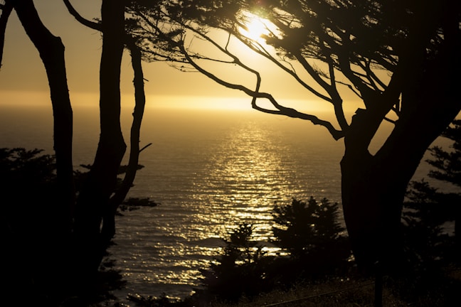 A golden-framed view of California's coastline at sunset.