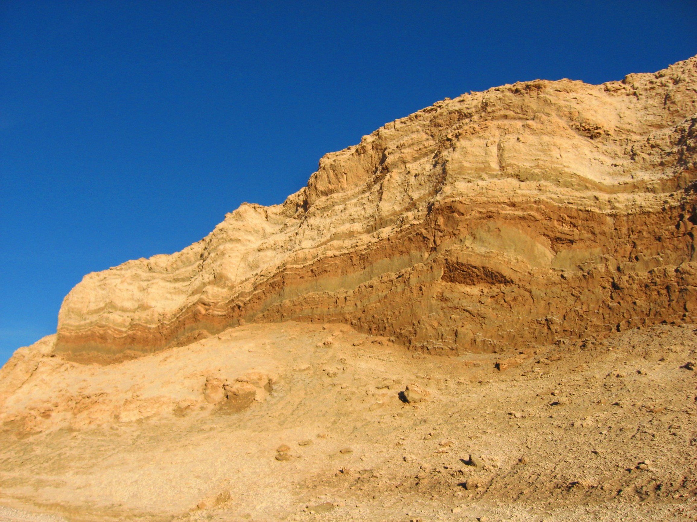 Free Unsplash photo from Marcelo Hernán Arre Márfull