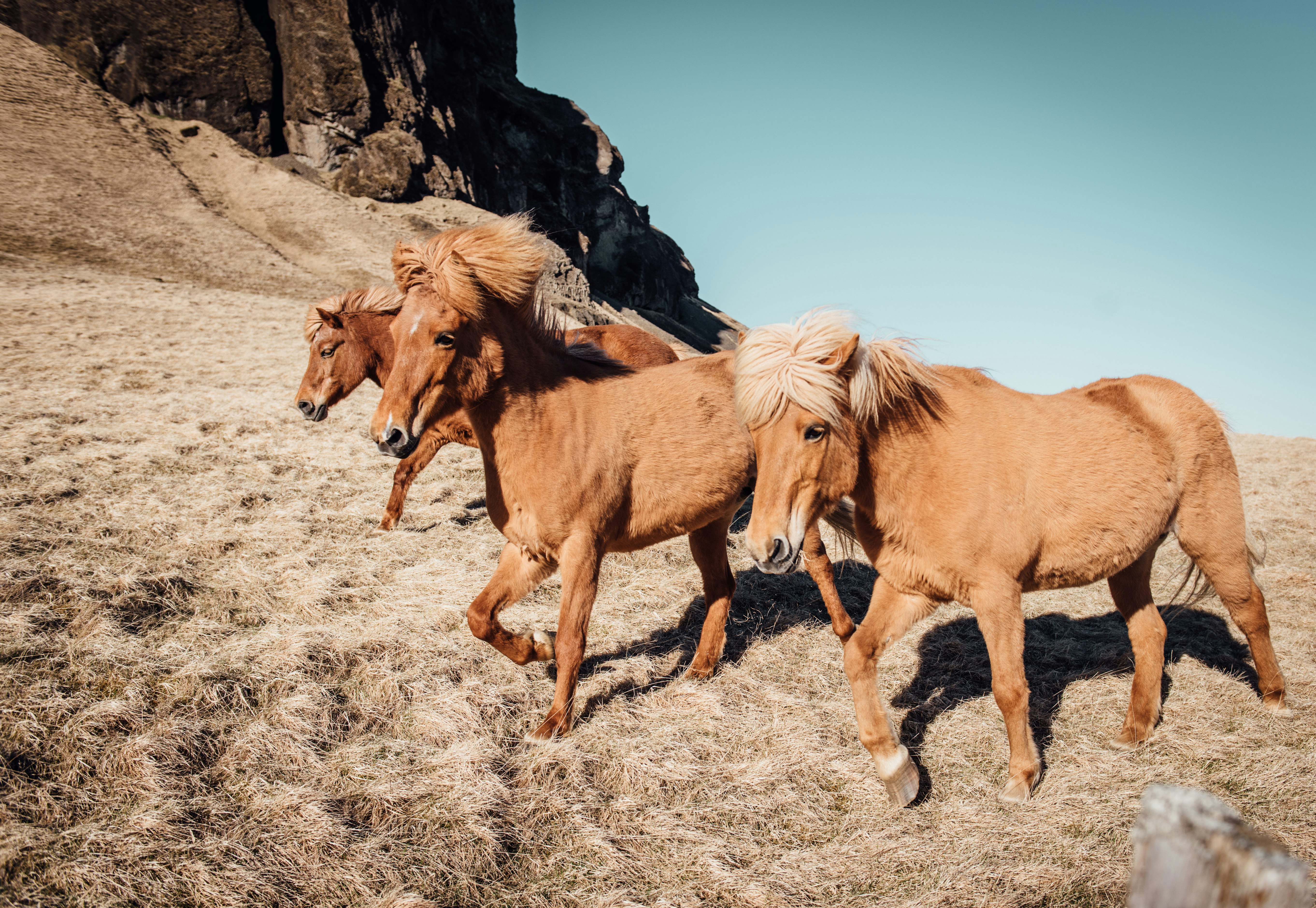 Photo via [Unsplash