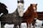 Several horses stand behind a wire fence in a snowy environment. Their coats display various colors, including a grey one covered in snow, a chestnut brown horse also dusted with snow, and a darker horse partially visible. The background appears barren and covered with snow, giving a wintry feel.