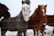 Several horses stand behind a wire fence in a snowy environment. Their coats display various colors, including a grey one covered in snow, a chestnut brown horse also dusted with snow, and a darker horse partially visible. The background appears barren and covered with snow, giving a wintry feel.