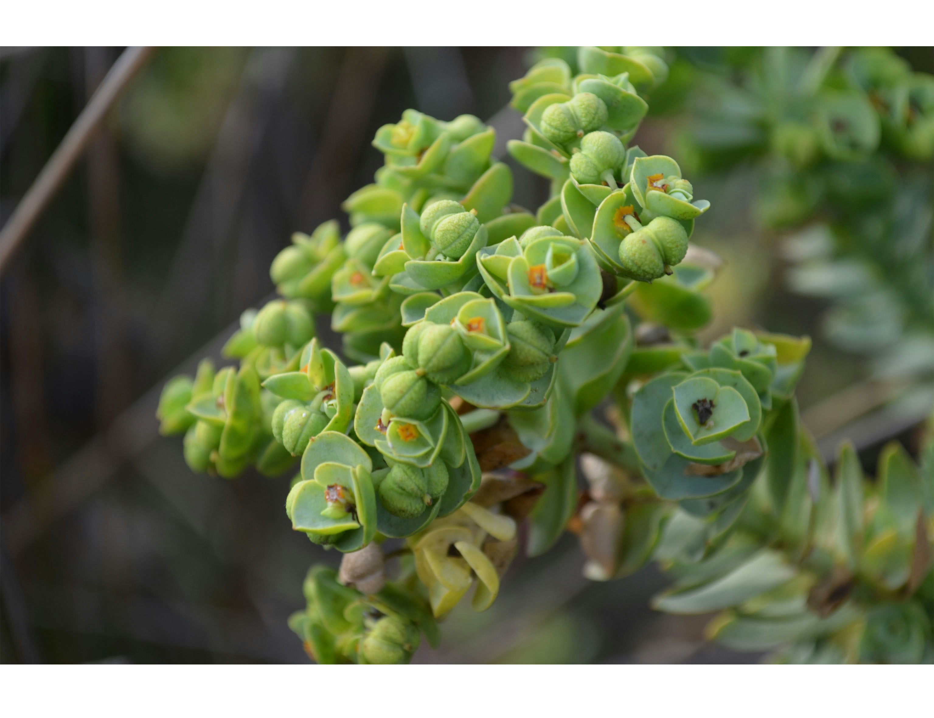 Free Unsplash photo from Anita Wright