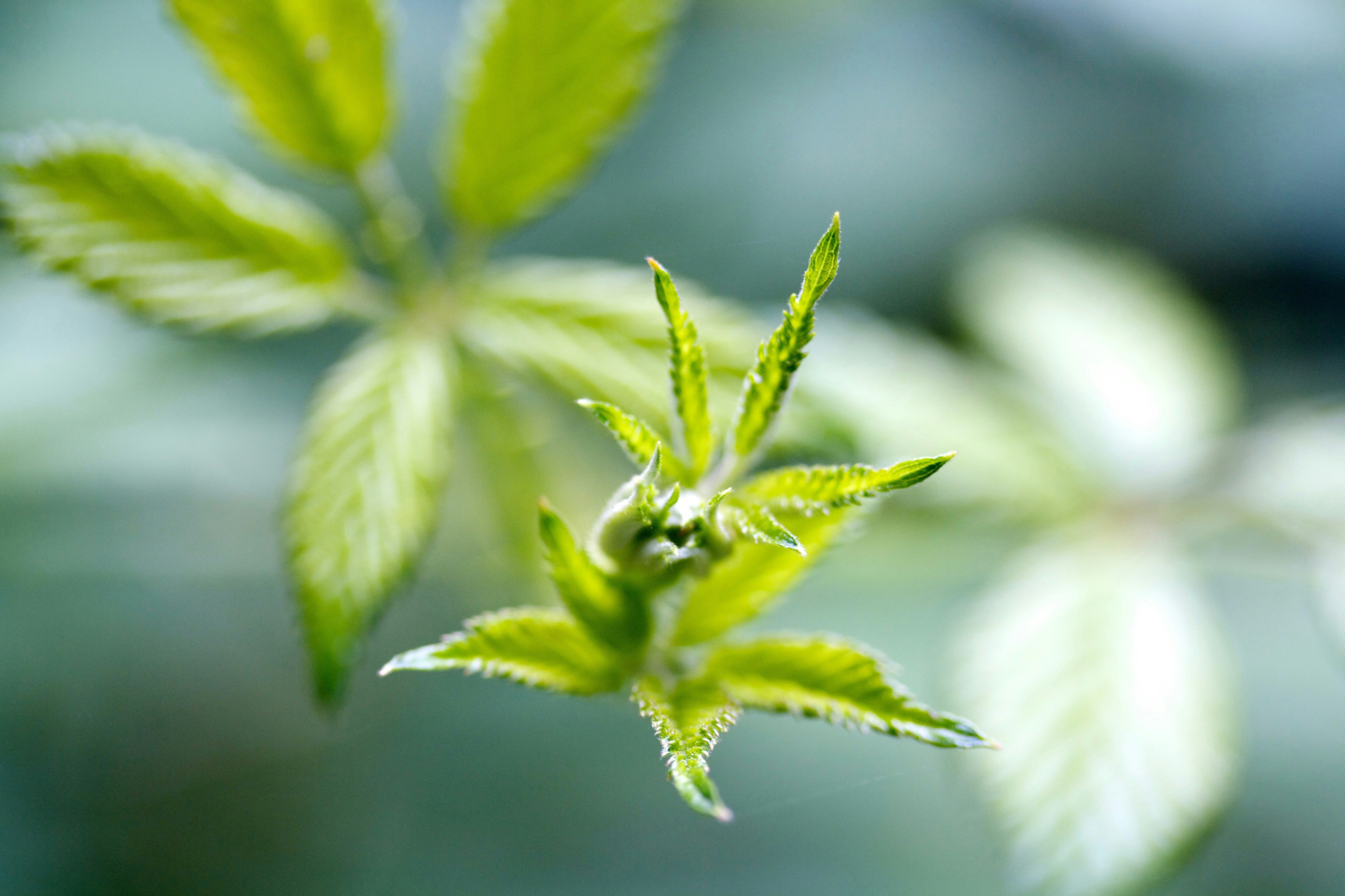 Free Unsplash photo from Nikhita Singhal