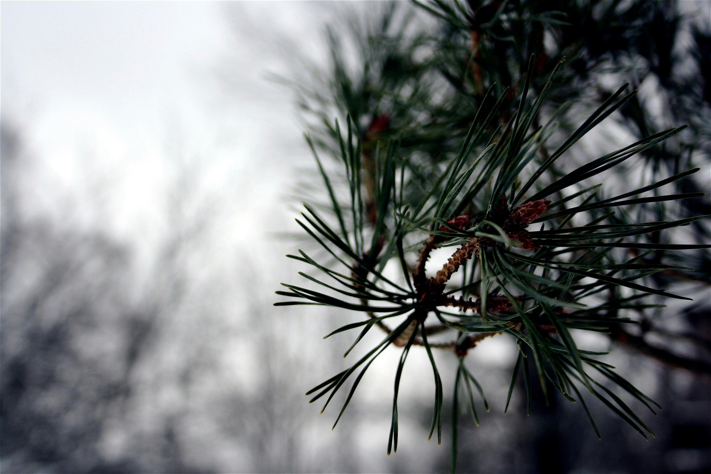 Free Unsplash photo from Nikhita Singhal