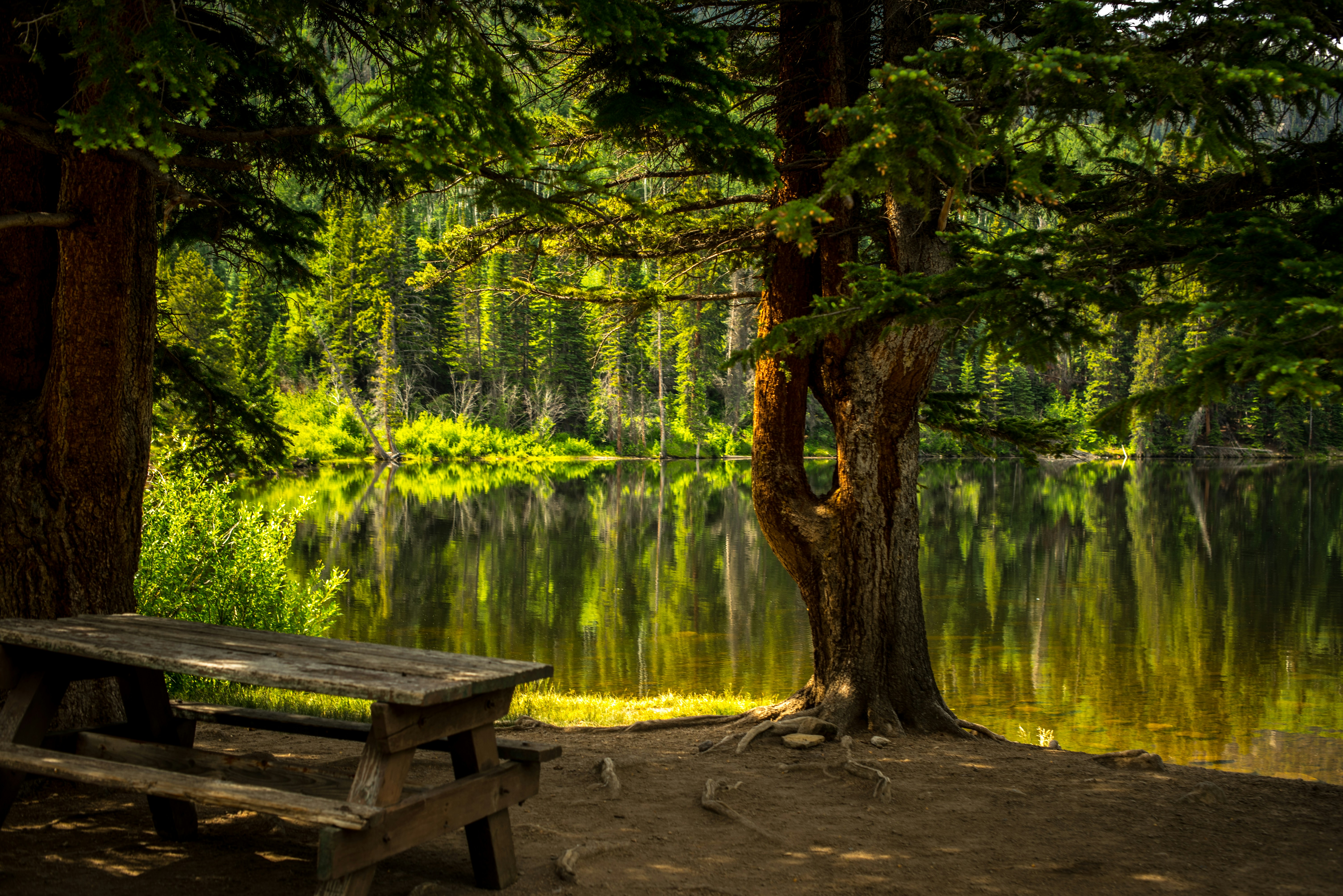 brown wooden picnic table near lake