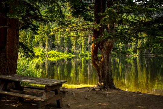 brown wooden picnic table near lake in Lower Cataract Lake United States