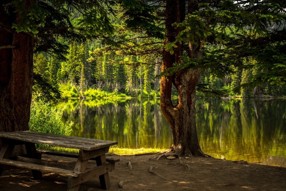 brown wooden picnic table near lake