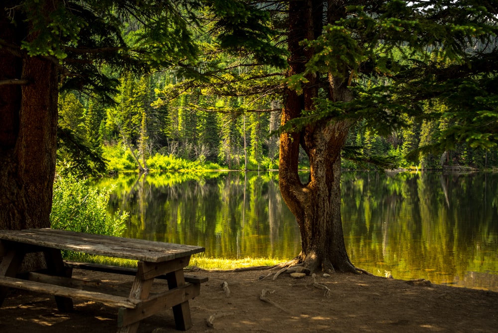 tavolo da picnic in legno marrone vicino al lago