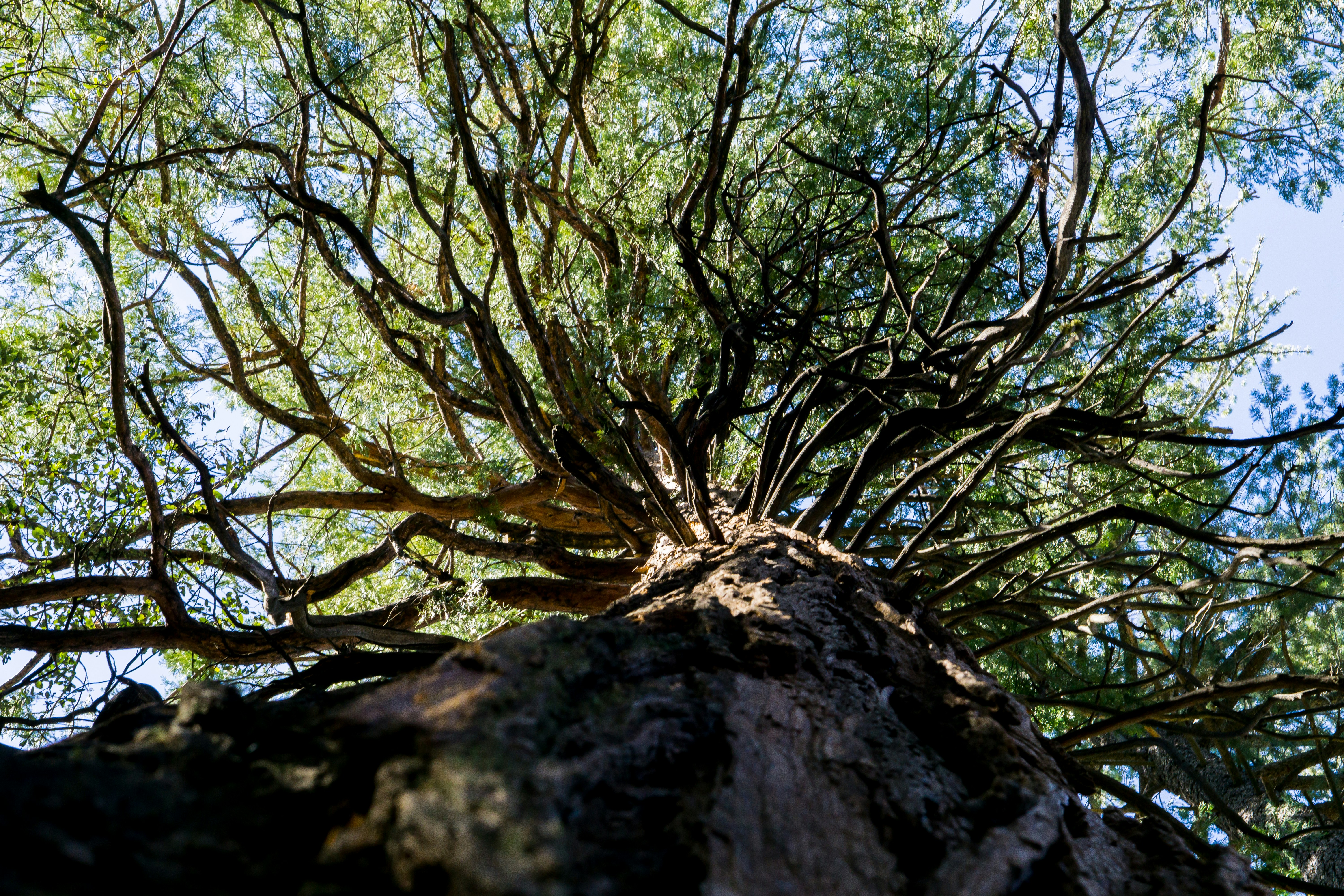 Free Unsplash photo from Jordan Quijano