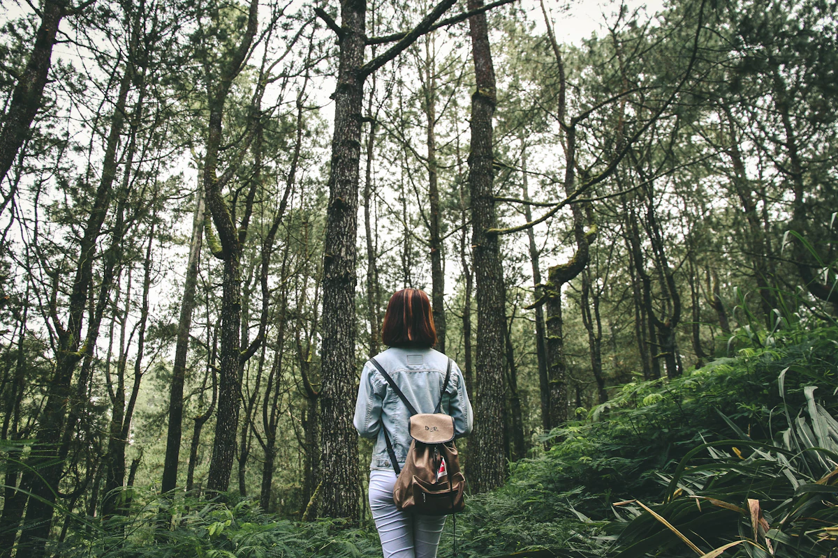 A woman walking alone through a quiet forest, taking time to think