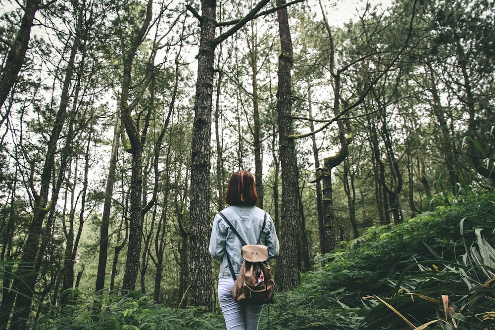 woman surrounded by brown and green tall trees during daytime