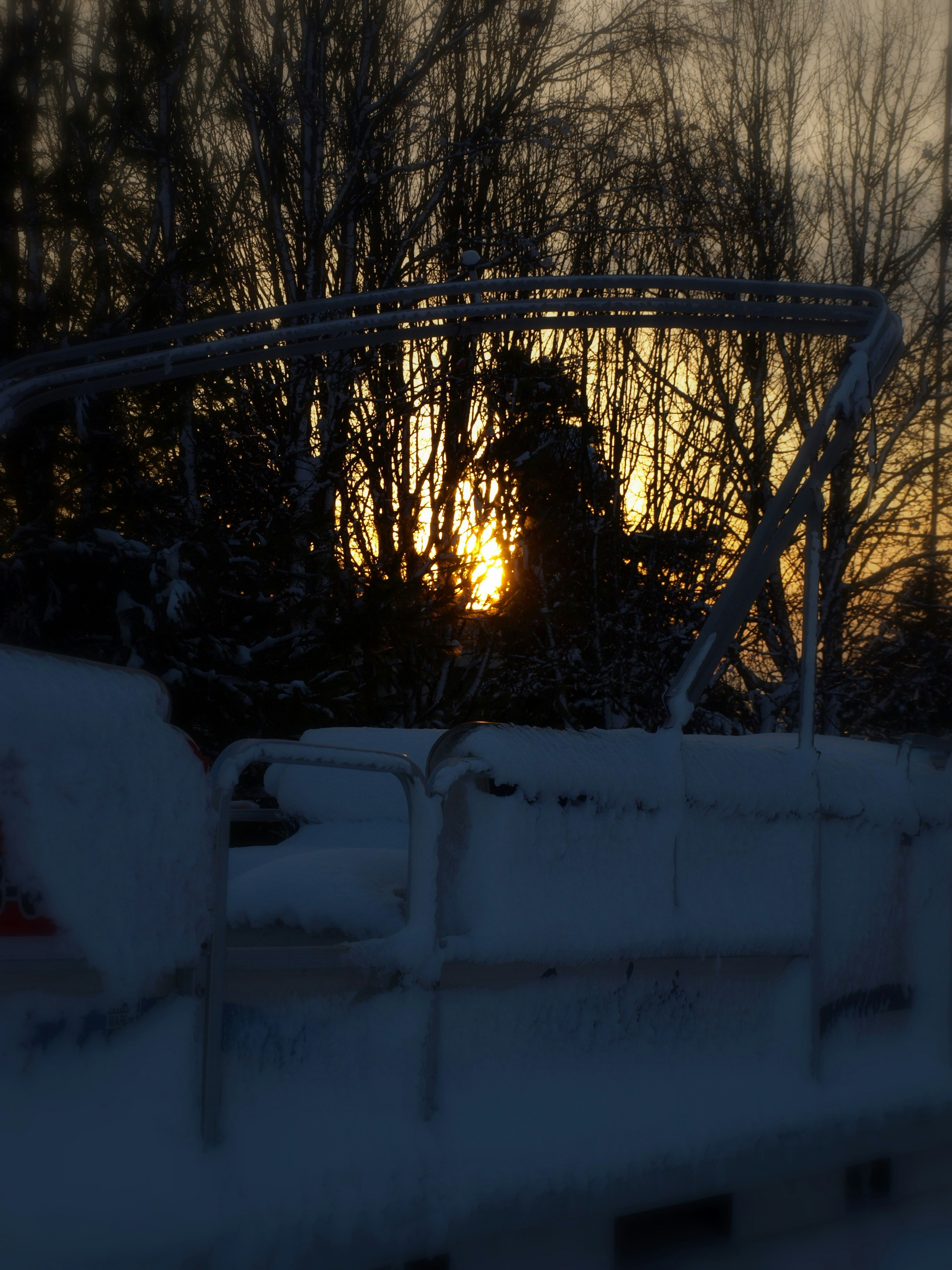 Free Unsplash photo from Toni Paxton