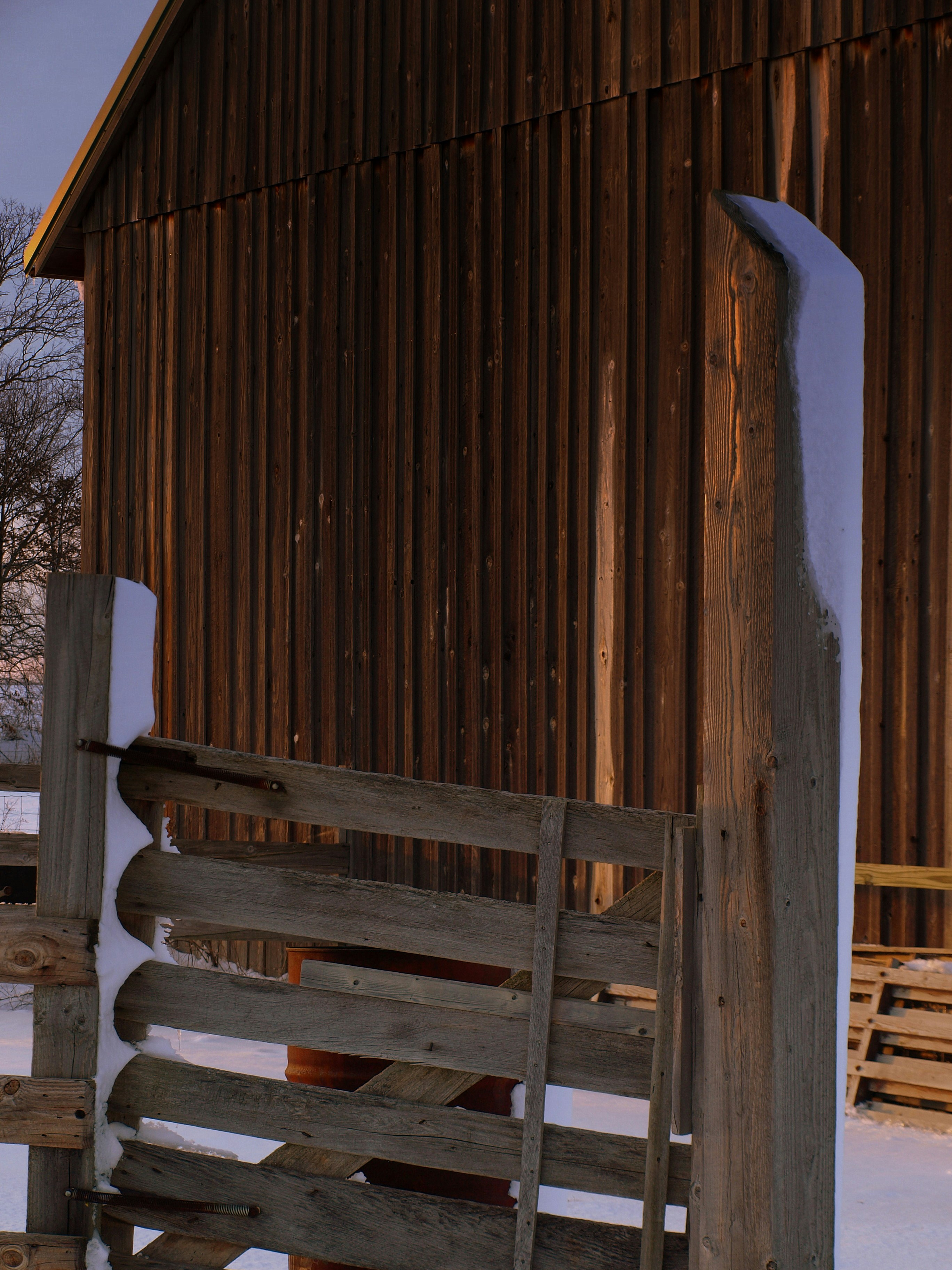 Free Unsplash photo from Toni Paxton