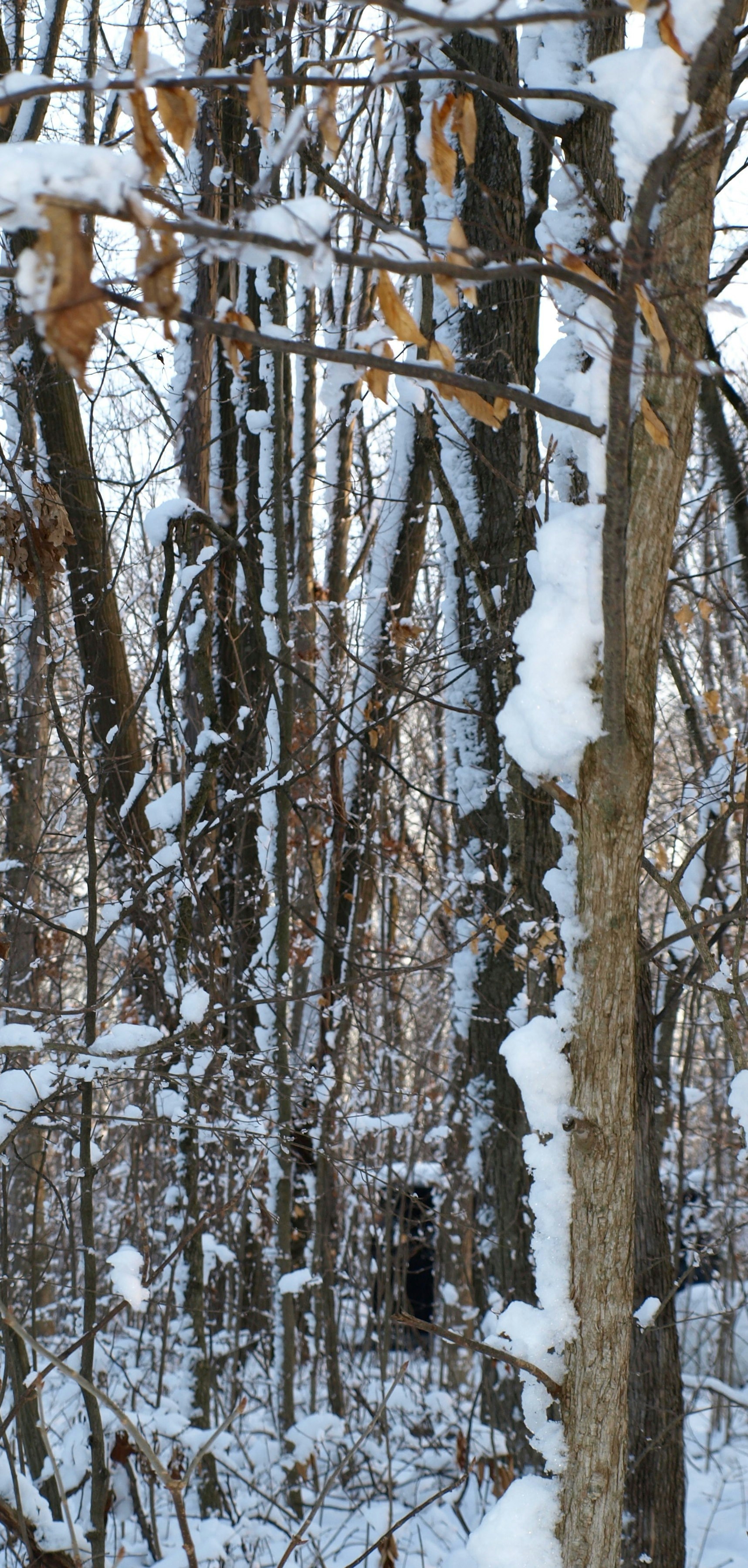 Free Unsplash photo from Toni Paxton