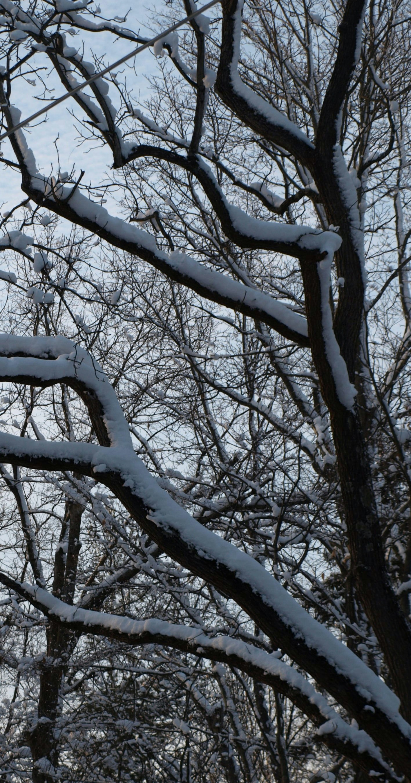 Free Unsplash photo from Toni Paxton